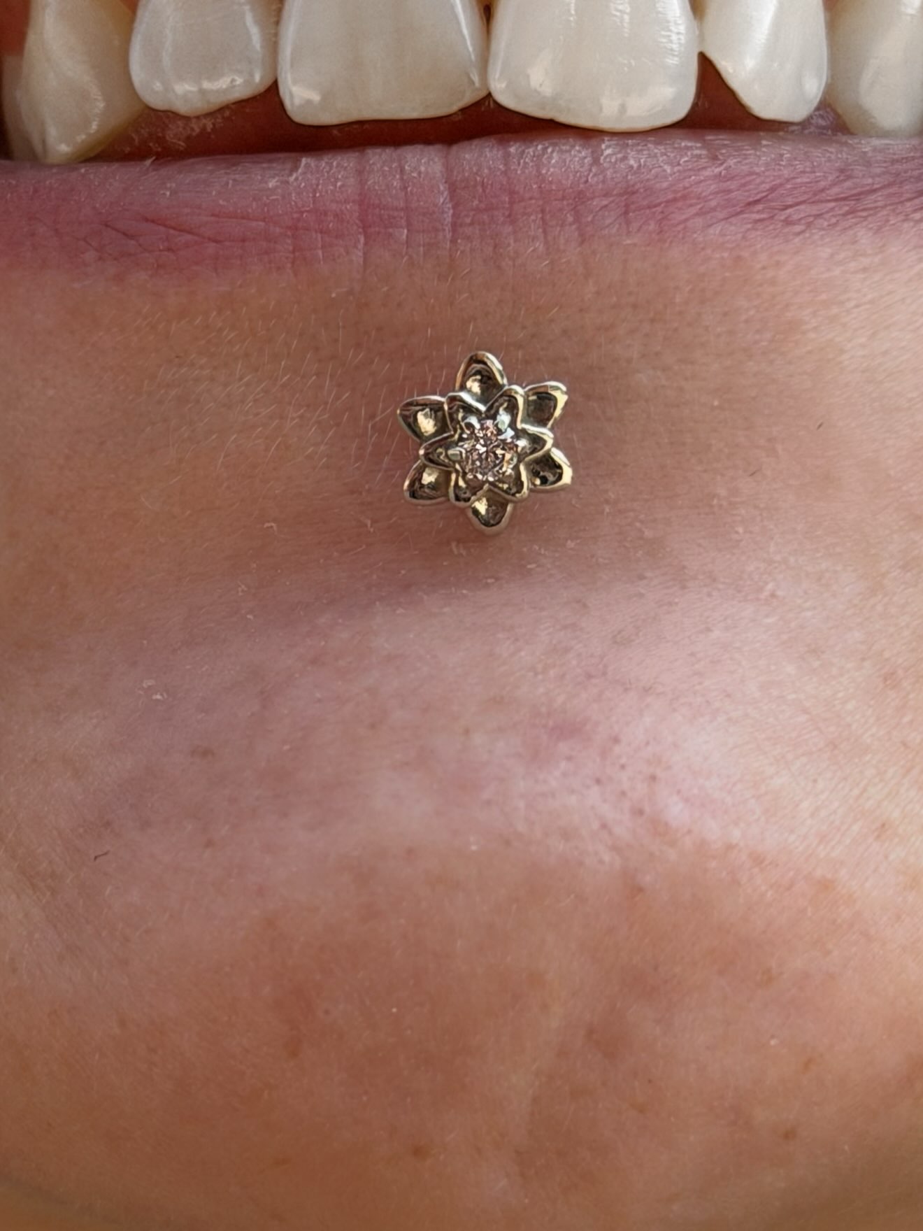 Labret Piercing with 14k White Gold and a white stone ✨
@piercingbyroy ✨
#staytruebodypiercing
#appmember
#safepiercing