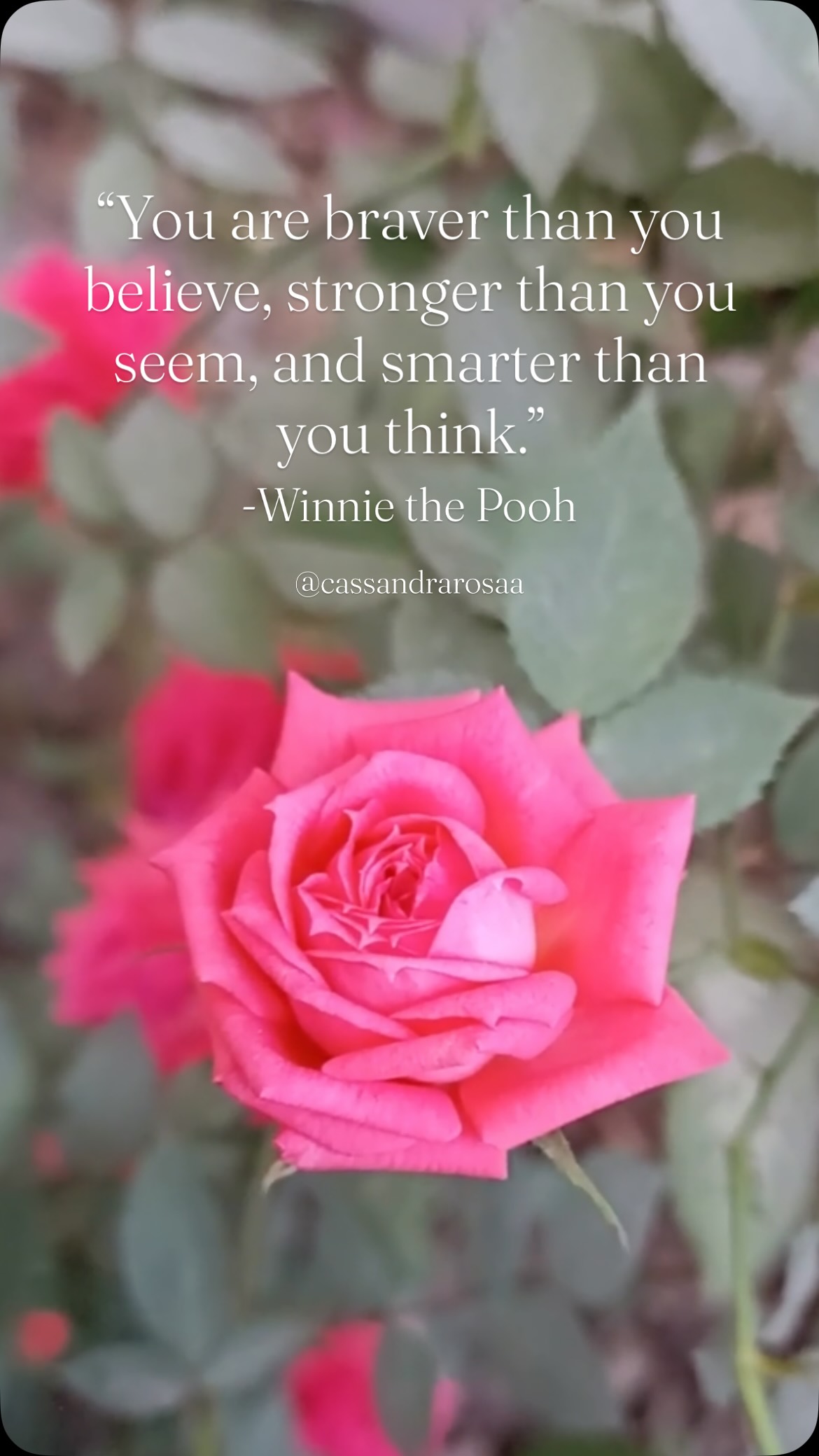 We often underestimate how powerful we truly are!
Sometimes a reminder like this one can help us remember the goodness we seek is already inside us!
Share this with a friend that needs to hear this and follow @cassandrarosaa for more inspirational reminders 🫶🏼