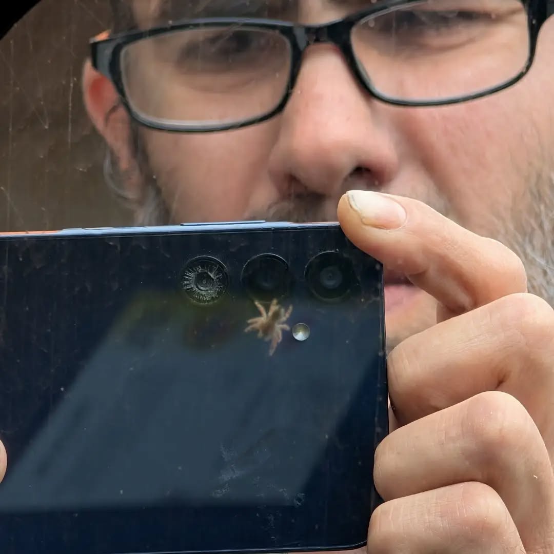 Was with mom today and saw a jumping spider on the windows so I took some shots inside and outside the car. Mom got one of me and the spider