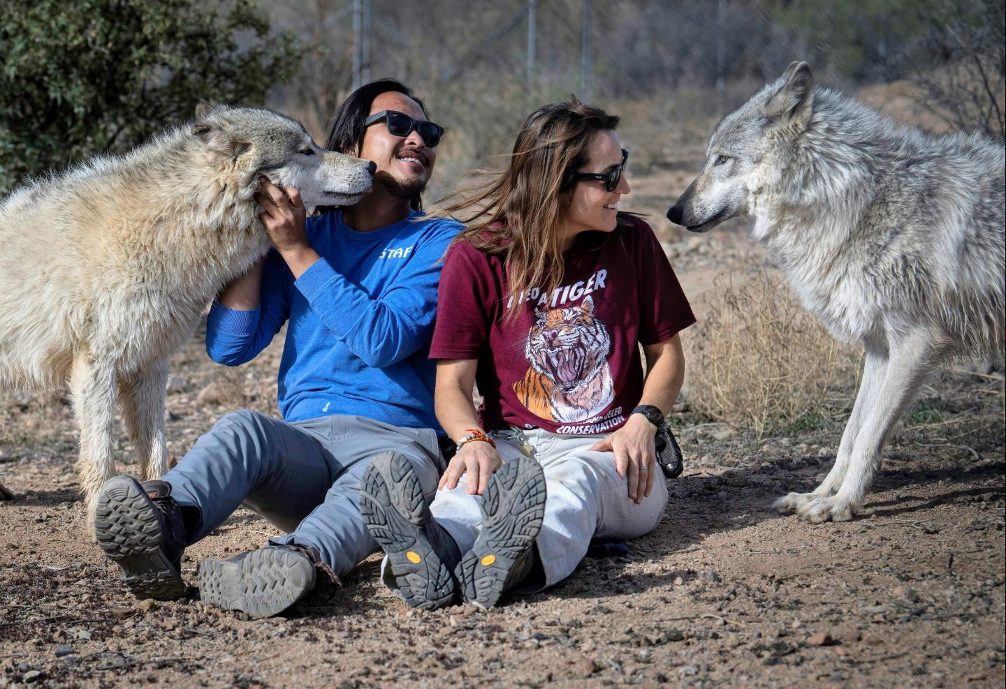 We are home to four North American grey wolves and America's largest canids are near and dear to our hearts! This month The Sedona International Film Festival is showing a documentary about wolves called "IN THE COMPANY OF WOLVES". The first showing is this coming Friday, Aug 7 at 4pm at the Festival theater in Sedona. The documentary is being shown on 6 different dates in August.
There will be a special opening day Q&A discussion with special guests on Friday, Aug. 7 at 4:00 p.m. Matt Barnes from the Northern Rockies Conservation Cooperative and Courtney Vail from the Rocky Mountain Wolf Project and Emily Renn from the Grand Canyon Wolf Recovery Project will be in Sedona to introduce the film and host a post-film Q&A discussion.
Read more about the documentary and guest speakers here:
https://prod5.agileticketing.net/WebSales/pages/info.aspx?evtinfo=641655~e8932fbb-a9ae-4437-a638-ff0cf1793527&epguid=f7b94766-699c-4aa0-9f9b-8245a9cefc05&mdy=8/7/2026&
Watch the trailer: https://www.youtube.com/watch?v=E71zXaSbgl4
@sedonafilmfestival
@gcwolfrecovery
@rockymtnwolf
@northernrockiescc
#Sedona #sedonalfilmfestival #Wolf #wildlifeconservation #wolves