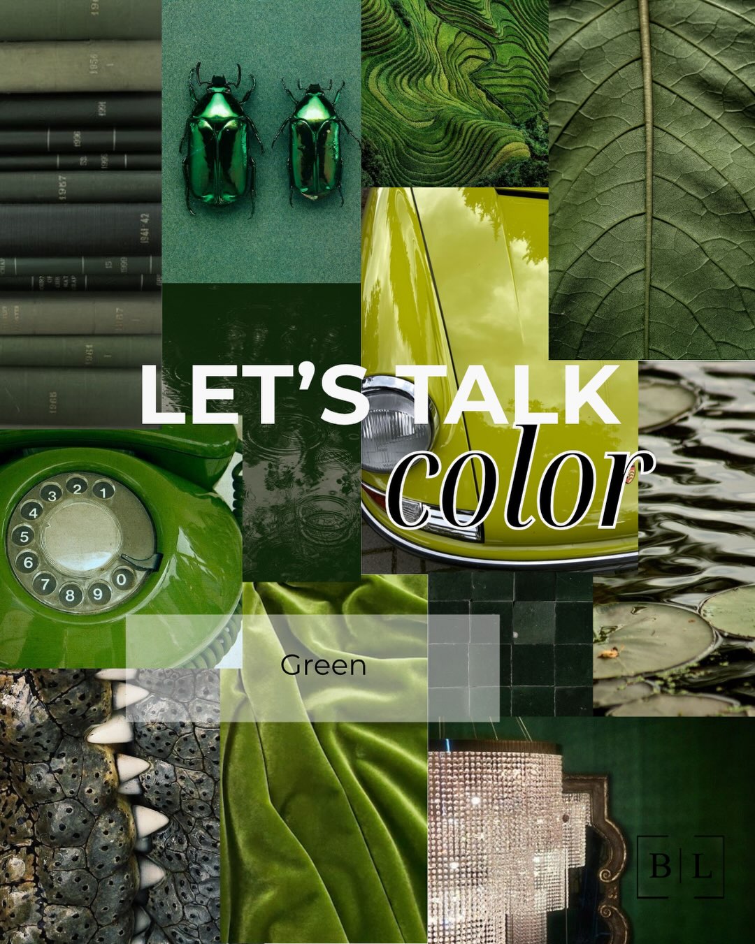 A bit bias here, but green is my go to color.
There’s a good chance it’s your go to color too. Why? Green is life. As humans we have a connection to nature, to green. Humans thrive with green.
If greens not your go to color, I would love to know what is.
To be fair I do love all the colors. But green just has my heart. 💚
#colorpyschology #thecolorgreen #pyscologyofdesign #interiordesignpyschology #green