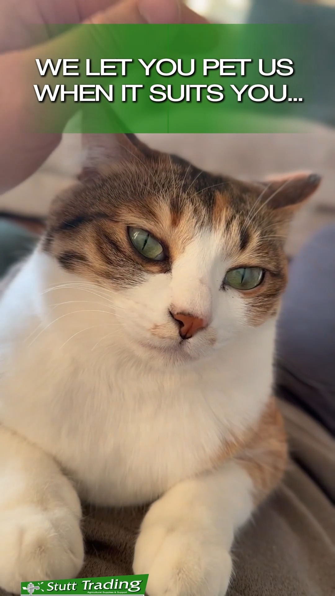 Praise the hats, open the catnip—it's International Cat Day on Saturday, 8 August 2026! 🥳🐱 Whether you're the proud servant of a dramatic feline or just admire them from afar, let's be honest: they rule the world, we just live in it.
Tag a cat lover (or your cat's "staff") in the comments! 👇🤍
P.S. Word to the wise, be sure to pop in to Stutt Trading to buy your beloved feline's favourite dish before the big day comes. We stock Montego, Lionel's Choice and Ideal Cat Food if you didn't know already!