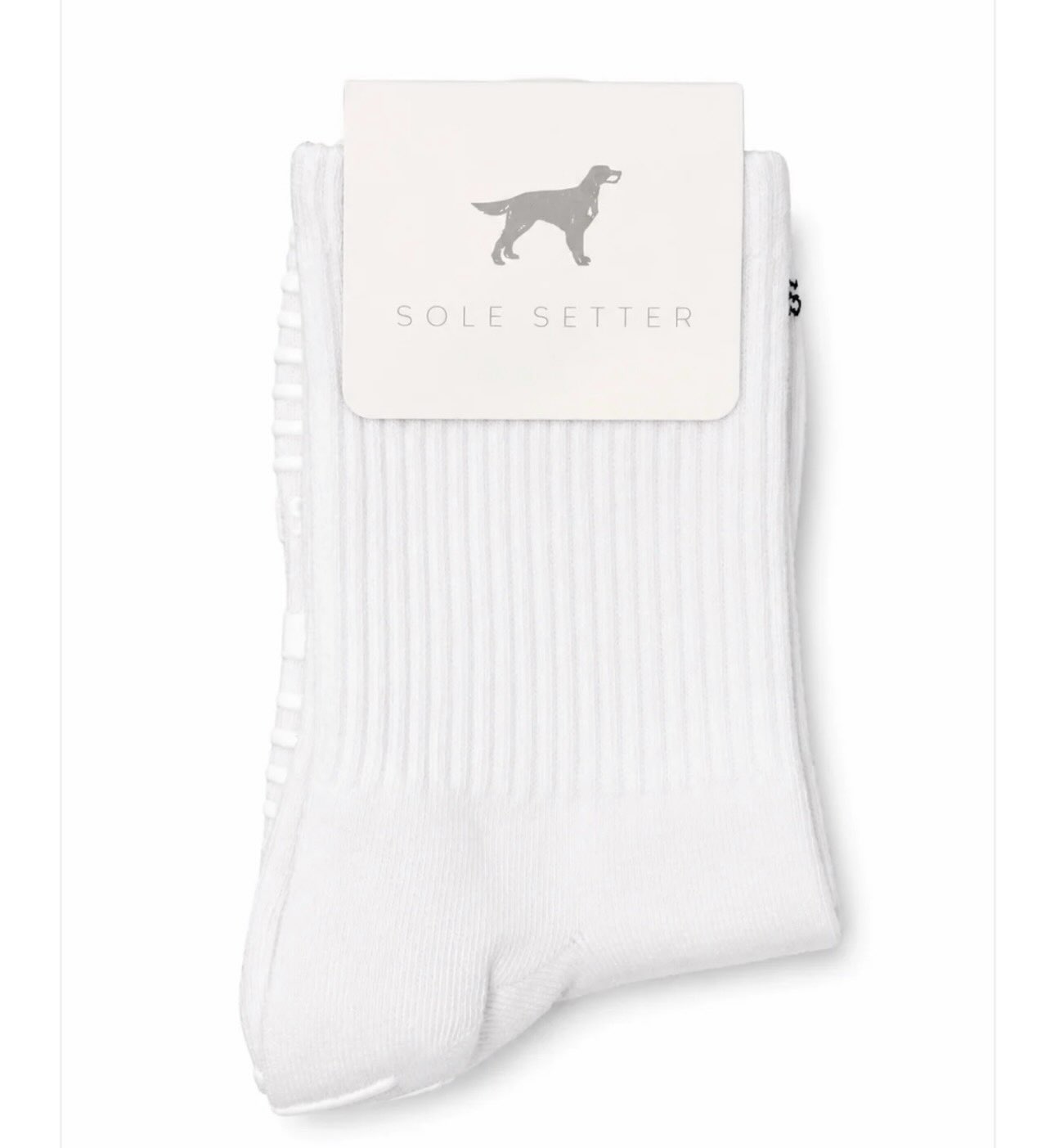 Socks for a cause🧦 @solesetterco is donating 50% of every MELI sock sold to MHLRM!!
@solesetterco is a small business in NC, but this fundraiser exists because of one fluffball from CO - Meli, a MHLRM alumni who brought joy to everyone she met.🐾
Meli’s aunt designs grippy socks made for Pilates (though we’ve heard they’re just as loved at trampoline parks and for kids’ play spaces 😂). Every pair sold helps MHLRM keep rescuing and rehoming dogs just like Meli.
This particular sock was already designed and in production when sweet Meli passed away. Rather than scrap it, her aunt turned the white colorway into a memorial edition, with proceeds now going straight to MHLRM in Meli’s memory 🤍
Grab a pair, rep some great socks, and help us keep saving pups, just like Meli.
📍Link in profile
🗣️Spread the word
🔄 Share !
@allisonjbarker