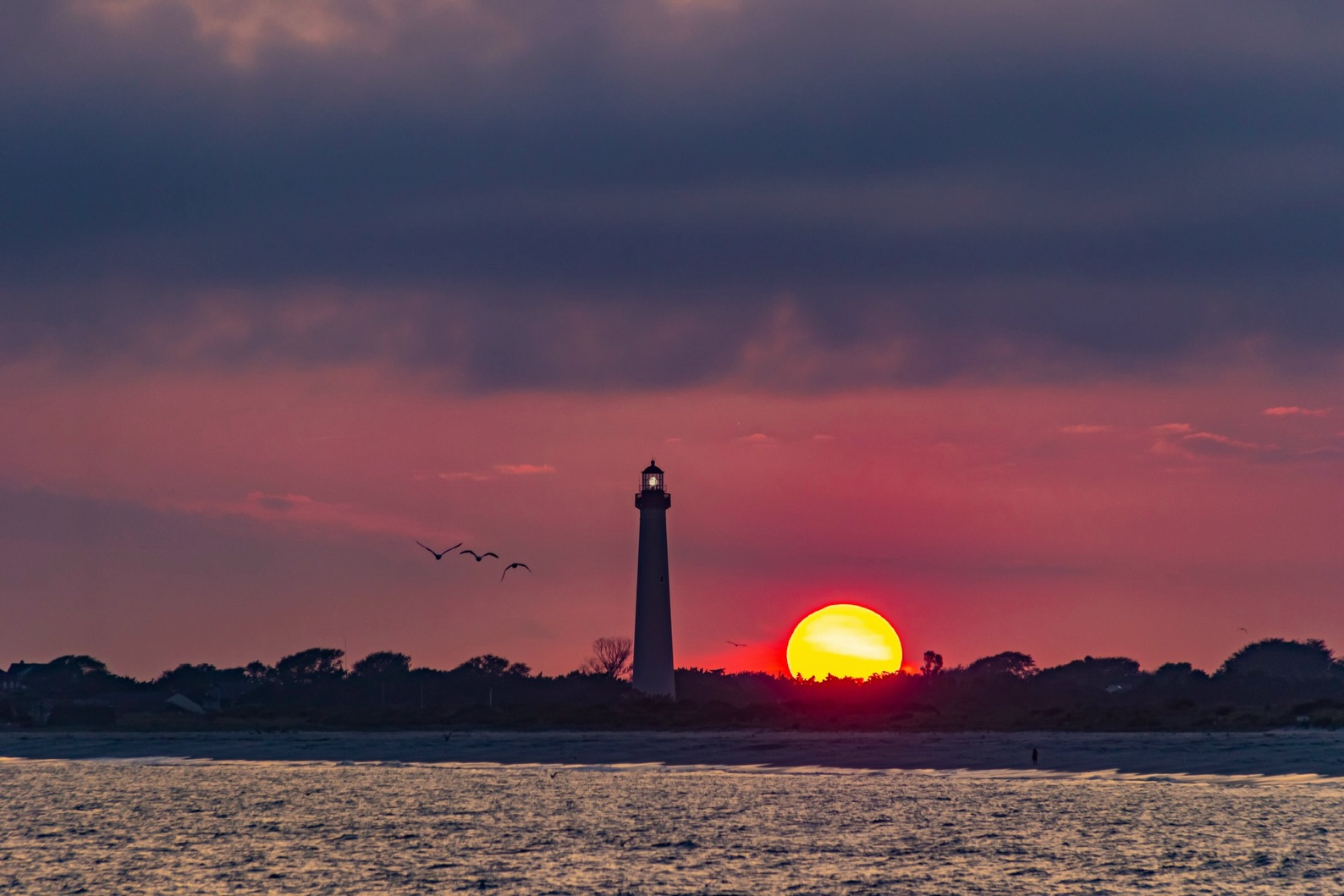 🔦In honor of National Lighthouse Day, enjoy some images I have taken of lighthouse along the east coast from Massachusetts to South Carolina. Swipe to see more! ➡️
First image, Cape May Light House, Cape May New Jersey
.
.
.
#lighthouses_around_the_world #nationallighthouseday #capemay #capemaynj #visitnj
Sunset at Cape May Light House, Cape May New Jersey
.
.
.
#lighthouses_around_the_world #nationallighthouseday #capemay #capemaynj #visitnj
Sunset at Cape May Light House, Cape May New Jersey
.
.
.
#lighthouses_around_the_world #nationallighthouseday #capemay #capemaynj #visitnj
Sunset at Cape May Light House, Cape May New Jersey
.
.
.
#lighthouses_around_the_world #nationallighthouseday #capemay #capemaynj #visitnj
Sunrise at Derby Wharf Light Station
.
.
.
#lighthouses_around_the_world #nationallighthouseday #salemmassachusetts #visitsalem #visitmassachusetts
Sunrise at Derby Wharf Light Station
.
.
.
#lighthouses_around_the_world #nationallighthouseday #salemmassachusetts #visitsalem #visitmassachusetts
Sunrise at Derby Wharf Light Station
.
.
.
#lighthouses_around_the_world #nationallighthouseday #salemmassachusetts #visitsalem #visitmassachusetts
Sullivan’s Island Lighthouse, South Carolina
.
.
.
#lighthouses_around_the_world #nationallighthouseday #sullivansisland #sullivansisland #visitcharleston
Sullivan’s Island Lighthouse, South Carolina
.
.
.
#lighthouses_around_the_world #nationallighthouseday #sullivansisland #sullivansisland #visitcharleston
Barnegat Lighthouse State Park, New Jersey
.
.
.
#lighthouses_around_the_world #nationallighthouseday #longbeachisland #lbinj #visitnj
Marblehead Lighthouse, Marblehead Massachusetts
.
.
.
#lighthouses_around_the_world #nationallighthouseday #marbleheadmassachusetts #marbleheadma #visitmassachusetts
Marblehead Lighthouse, Marblehead Massachusetts
.
.
.
#lighthouses_around_the_world #nationallighthouseday #marbleheadmassachusetts #marbleheadma #visitmassachusetts