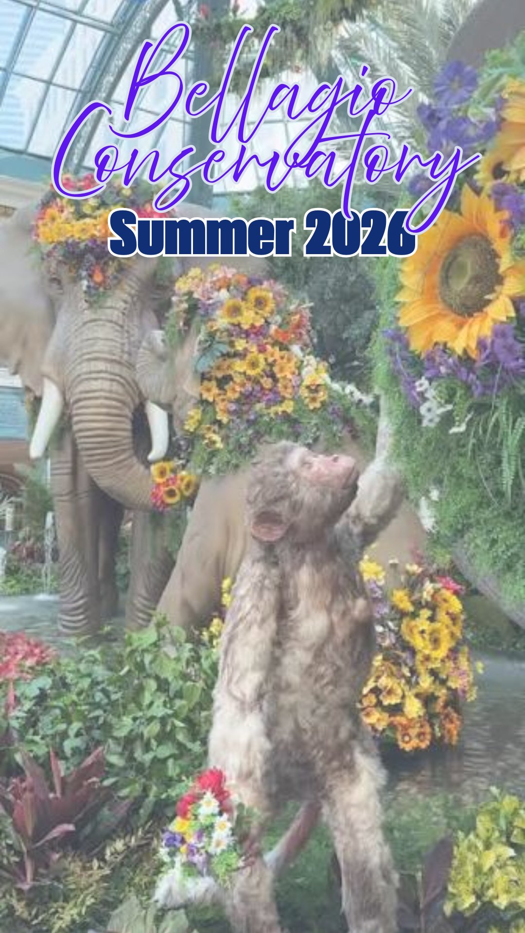 We walked through the Summer 2026 display at the Bellagio Conservatory and the jungle theme might be the best execution we've seen from this space in a while.
The botanical arrangements are built around wildlife and movement, and the design team clearly committed to the concept. The animal installations feel layered into the scenery rather than just placed on top of it, which makes the whole thing feel more immersive than a typical seasonal display. It's the kind of setup where you keep finding details the longer you stand there.
Free, open daily, and genuinely worth slowing down for if you're on the Strip this summer. 🌿
#BellagioConservatory #BellagioBotanical #LasVegasTravel #VegasSummer #JungleTheme #BellagioLasVegas #TravelReels #LasVegas