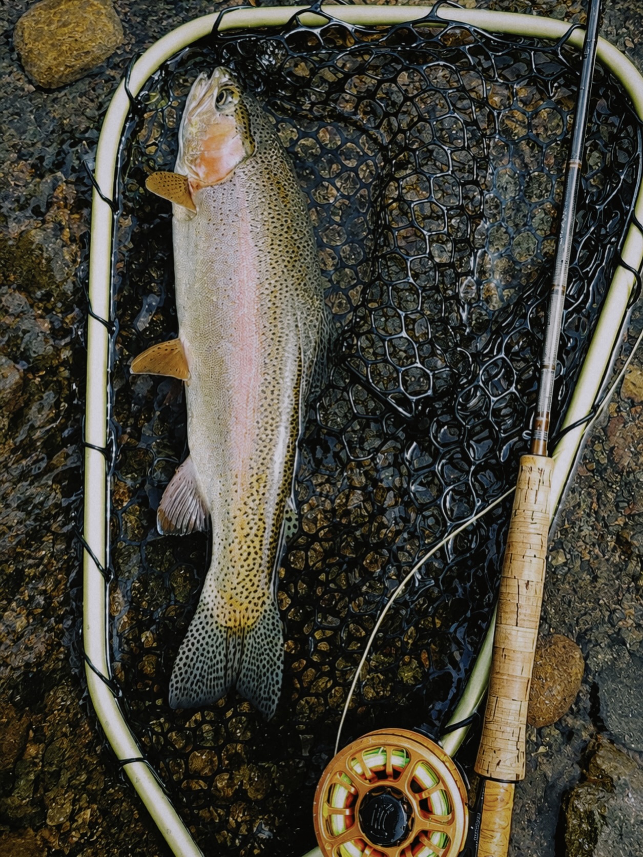 TGIF 🎣 Nothing says Friday like tight lines, cold water, and a beautiful rainbow. Here’s to weekends spent outside doing what we love. 🤎 #yellowstonepeakshotel #flyfishing #islandparkidaho #henrysfork #tgif