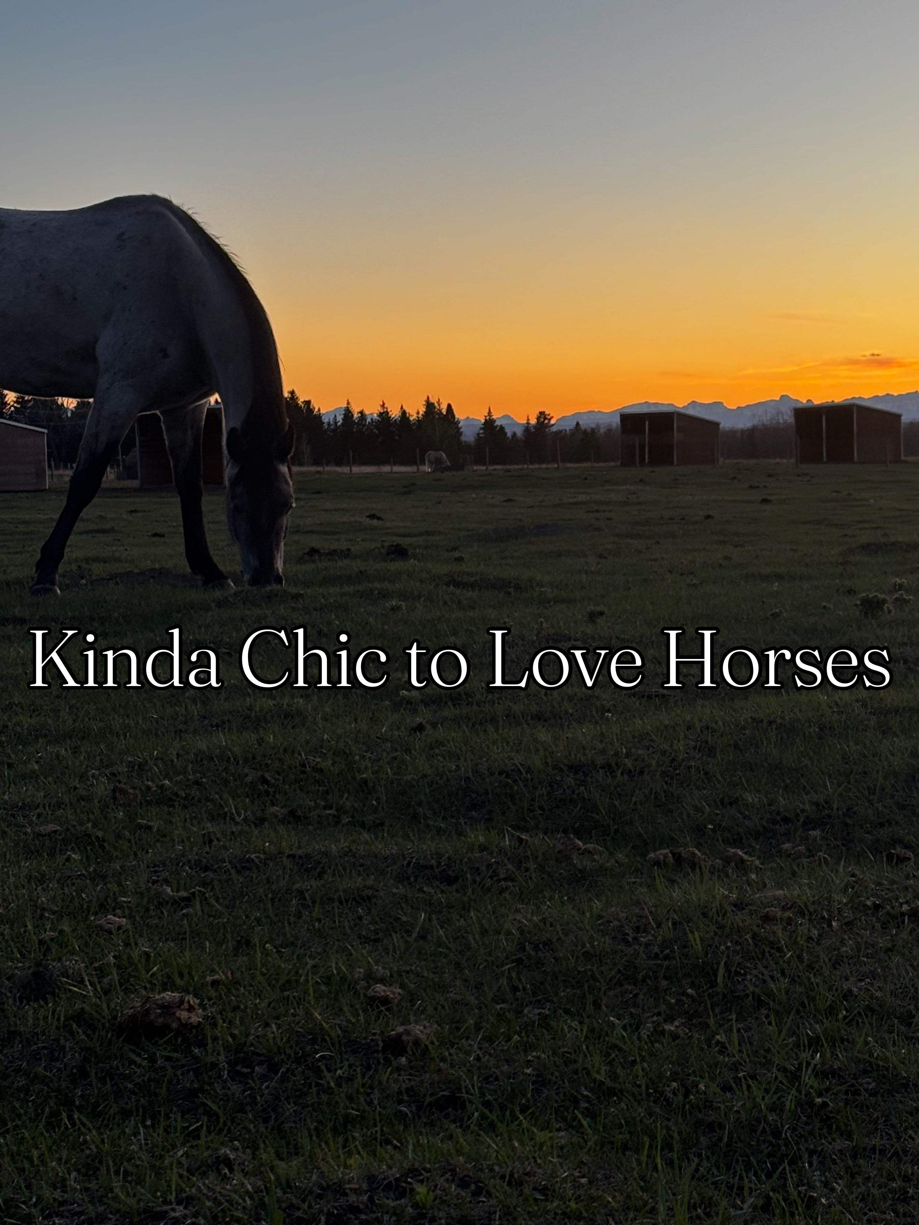 Kinda Chic…