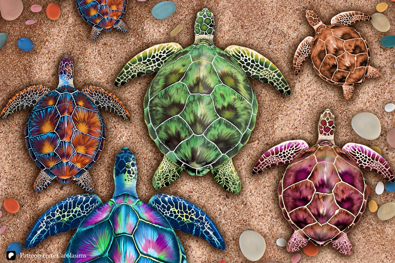 Beachcomber Pack: Seashore
Sea turtles ~ gentle souls with a profound heart 🐢
Enhance your coastal space with the Beachcomber Pack Seashore, and build a charming seaside made of ocean-inspired elements.
🔗carolasims.com/post/beachcomber-pack-seashore
🔗patreon.com/CarolaSims/posts/beachcomber-pack-164017217?source=storefront
.
.
.
.
#sims4decor #sims4buymode #sims4objects #ts4customcontent #sims4buildcc #sims4beachhouse #coastalaesthetic #seasideliving #beachcomber #beachcomberpack #oceantreasures #coastalvibes #coastalstyle #seashells #seashellaesthetic #turtles #seaturtle #sims4coastal #sims4beachdecor #beachpebbles #starfish #oceanstars #beachmagic #sims4cc #ts4cc #sims4clutter #ts4clutter #simstagram