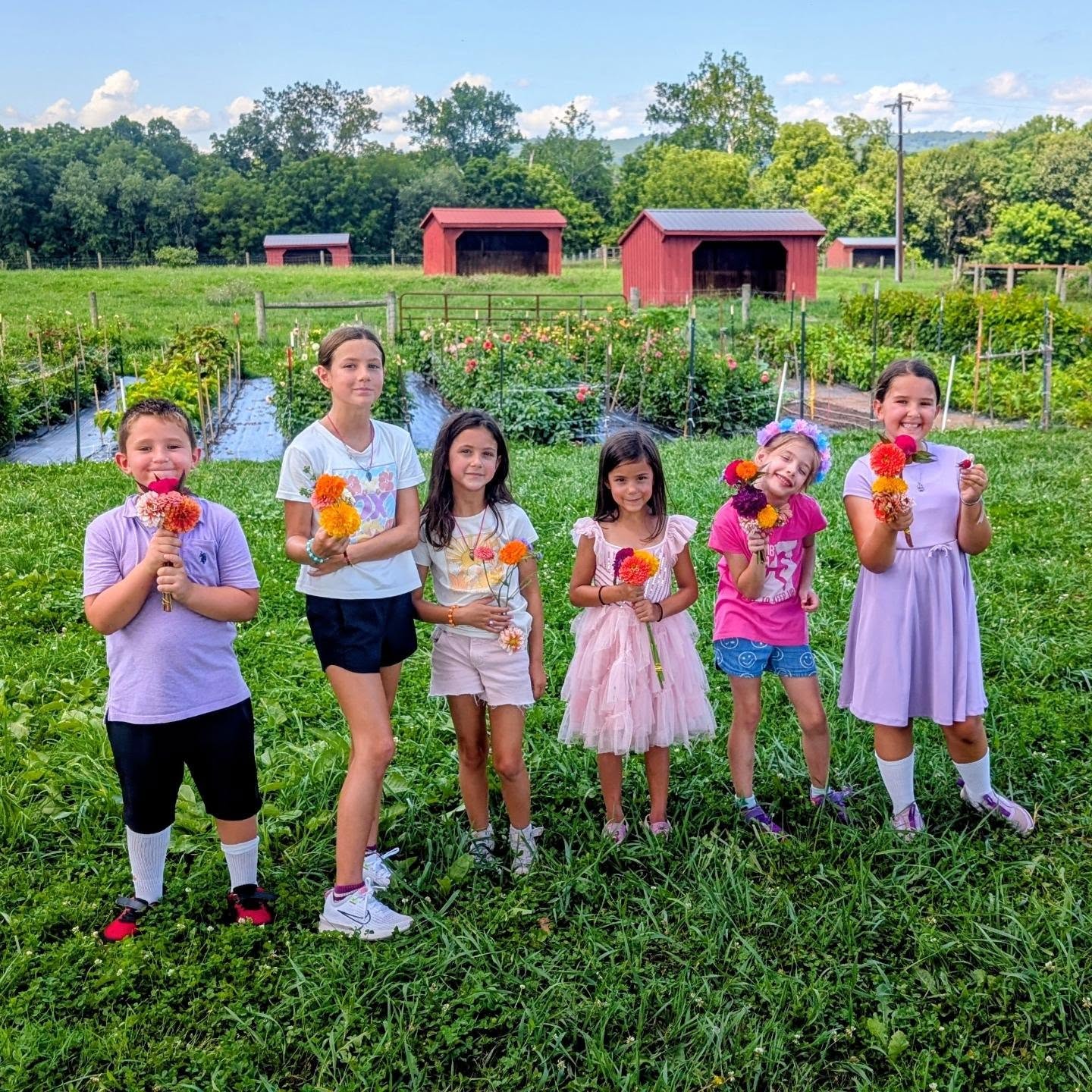 🌻 Farm Fresh Week keeps getting sweeter. 🌻
Today our explorers visited Legacy Farms and were lucky enough to get an impromptu tour from the very best tour guide. ❤️ We wandered through rows of gorgeous flowers, learned about what’s growing, and got a surprise ending to our visit with a beautiful, hand-picked bouquet for every single explorer.
But the flowers are only part of what’s growing here...
Legacy Farms is a local nonprofit that creates real-world apprenticeships, job training, and employment opportunities for neurodivergent individuals. Their Growing Together program pairs mentors and apprentices for hands-on learning while building a genuinely neurodiverse community. 🌱
What a beautiful thing for our explorers to get to see firsthand -- Farms can grow food. They can grow flowers. But they can also grow confidence, purpose, belonging, generosity, and community. ❤️
Thank you, Legacy Farms, for welcoming our little crew so warmly — and for showing them such a wonderful example of how growing something beautiful can make the world around you a little more beautiful, too. 🌻💐
#LearningAdventureBus #FarmFreshWeek #LegacyFarms