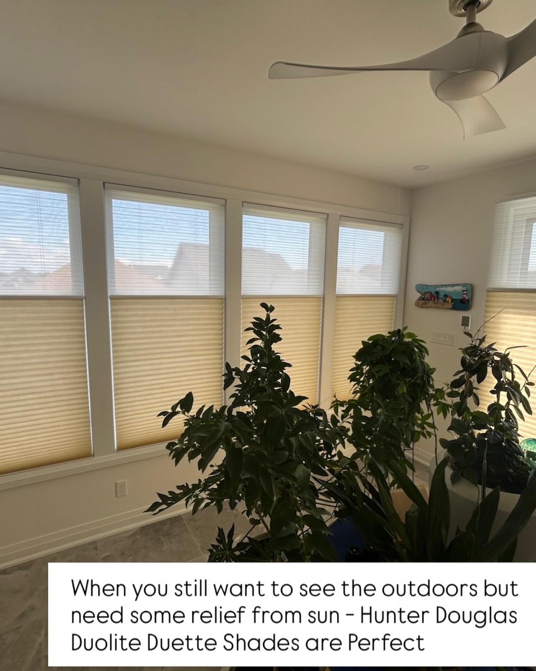 Call for a free consultation - and if you have a Costco membership - you can save up to 20% off until August 31st on all Hunter Douglas Shades, Blinds, and Shutters #save #freeconsultation #HunterDouglas #costcocanada