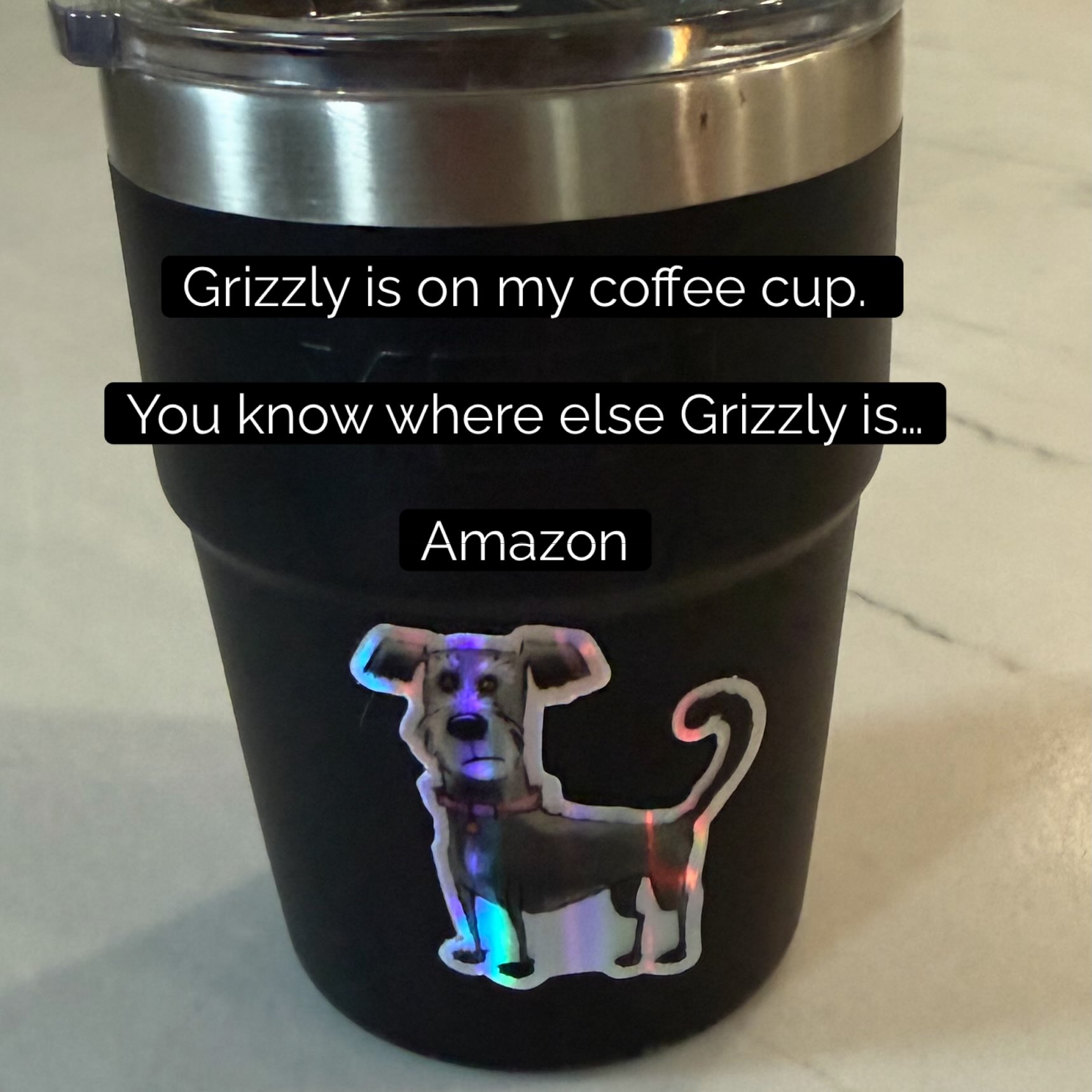 #grizzlysbirthdaymiracle #nowonamazon #amazonfind #amazonbooks #childrensbook kidlit picturebook newchildrensbook booksforkids storytime bedtimereading birthdaybook indieauthor debutauthor lesliebeing jasondoll animationdog dogsofinstagram doglover dogbook birthdaygift giftsforkids backtoschool teachersofinstagram librariesofinstagram bookstagram booklaunch signedcopies northvalenj bergencountynj