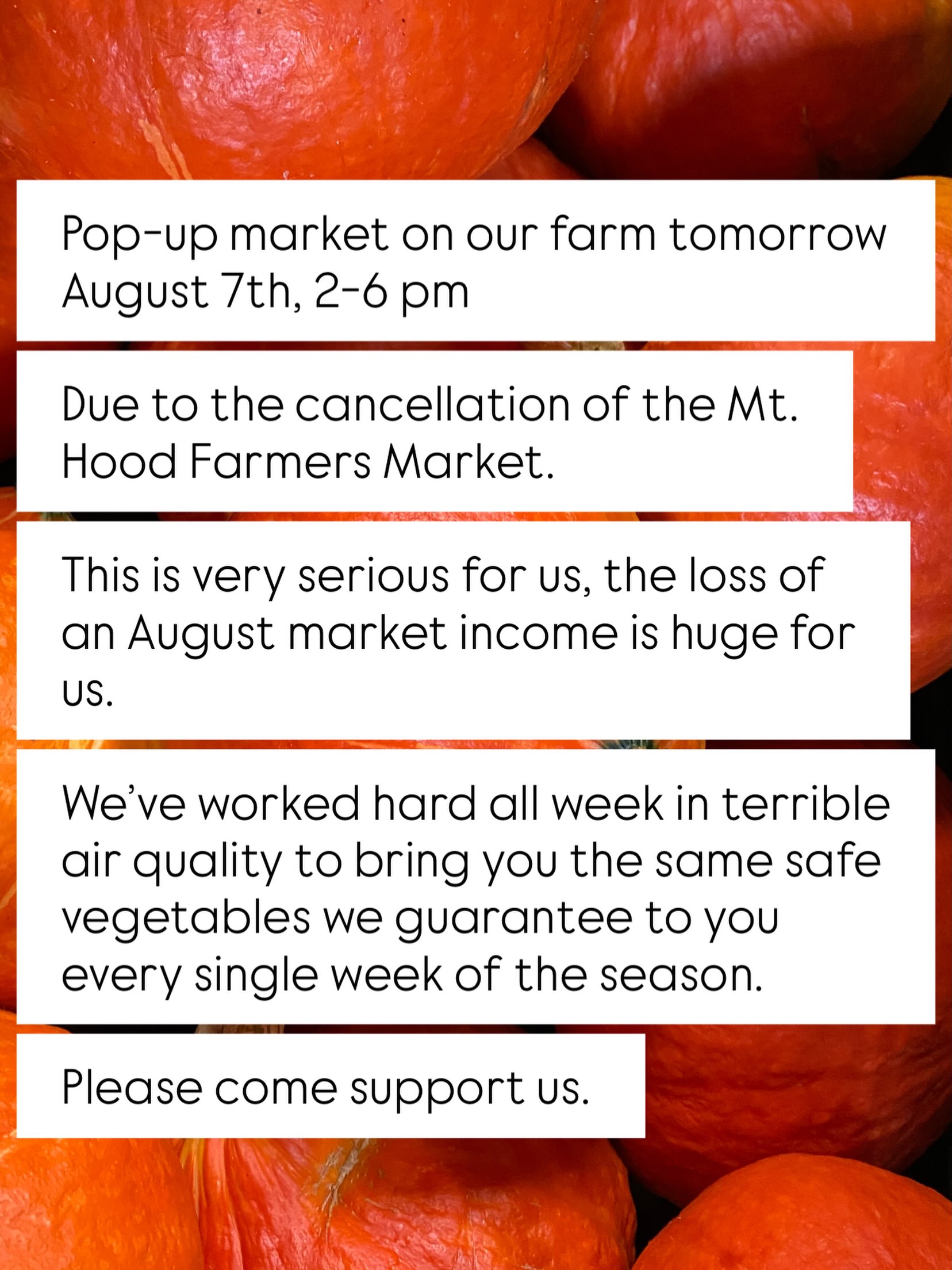 Please share this post! I’m trying to reach as many customers as possible to mediate this terrible last minute decision.
We have loads of beautiful fresh vegetables, and no where to sell them this Friday. Please come to our farm to get your veggies. It’s an extra 10 minute drive from town but you’d be helping our farm to survive.
You can find out how to get to our farm on any maps app. Please drive 25 mph on Phelps Rd.
Thank you for your support, for sharing this post, for coming to support us tomorrow.
