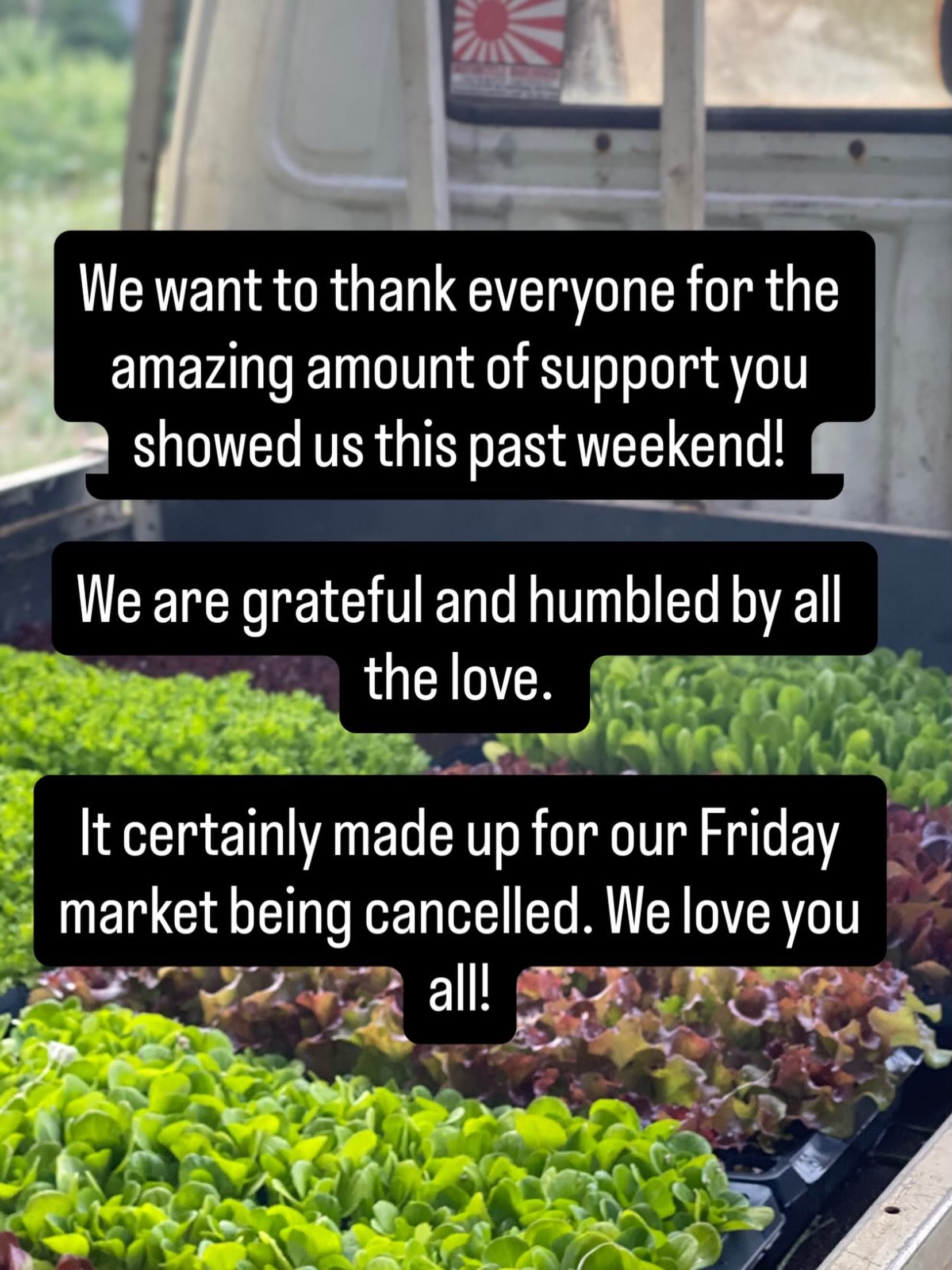 What can I say? We feel so loved and our customers are the best. Almost all our veggies found a home. You guys are amazing ! #sliceofheavenfarm