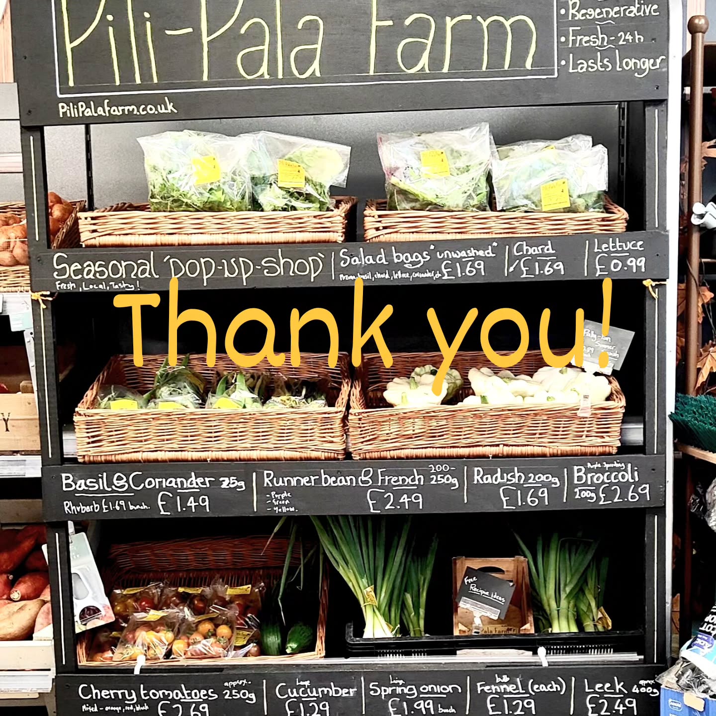Despite the challenges of a very dry and hot season, we've managed to keep going, and just wanted to say a big thanks to all of you that buy produce from us. It's a massive boost. And the feedback has been amazing.
I also appreciate your patience, when the stand sells out at midday! Hopefully we can work on increasing stock in the coming seasons.
For now we will keep on going for as long as the weather allows.
Much love
Pili-Pala x