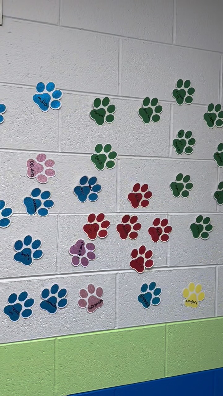 All these little paws are starting school in ONE WEEK! We are so excited! ๐๐พ#queenoftherosaryschool #pawsup #qrpride