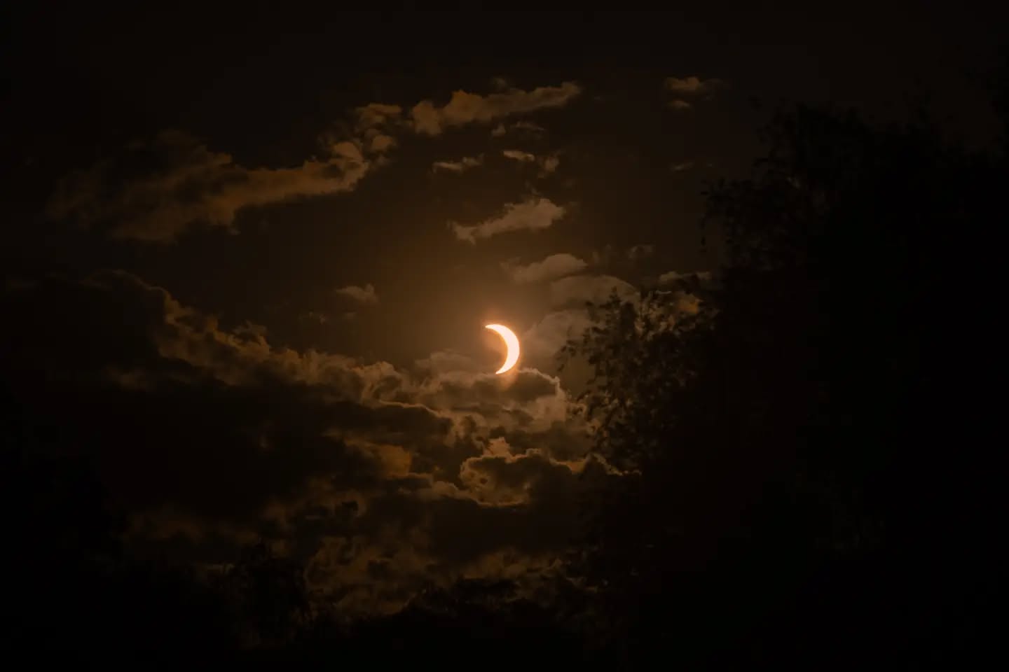 Was trying to get some nice sunset pictures but the moon decided it wanted to be the main character 🌙