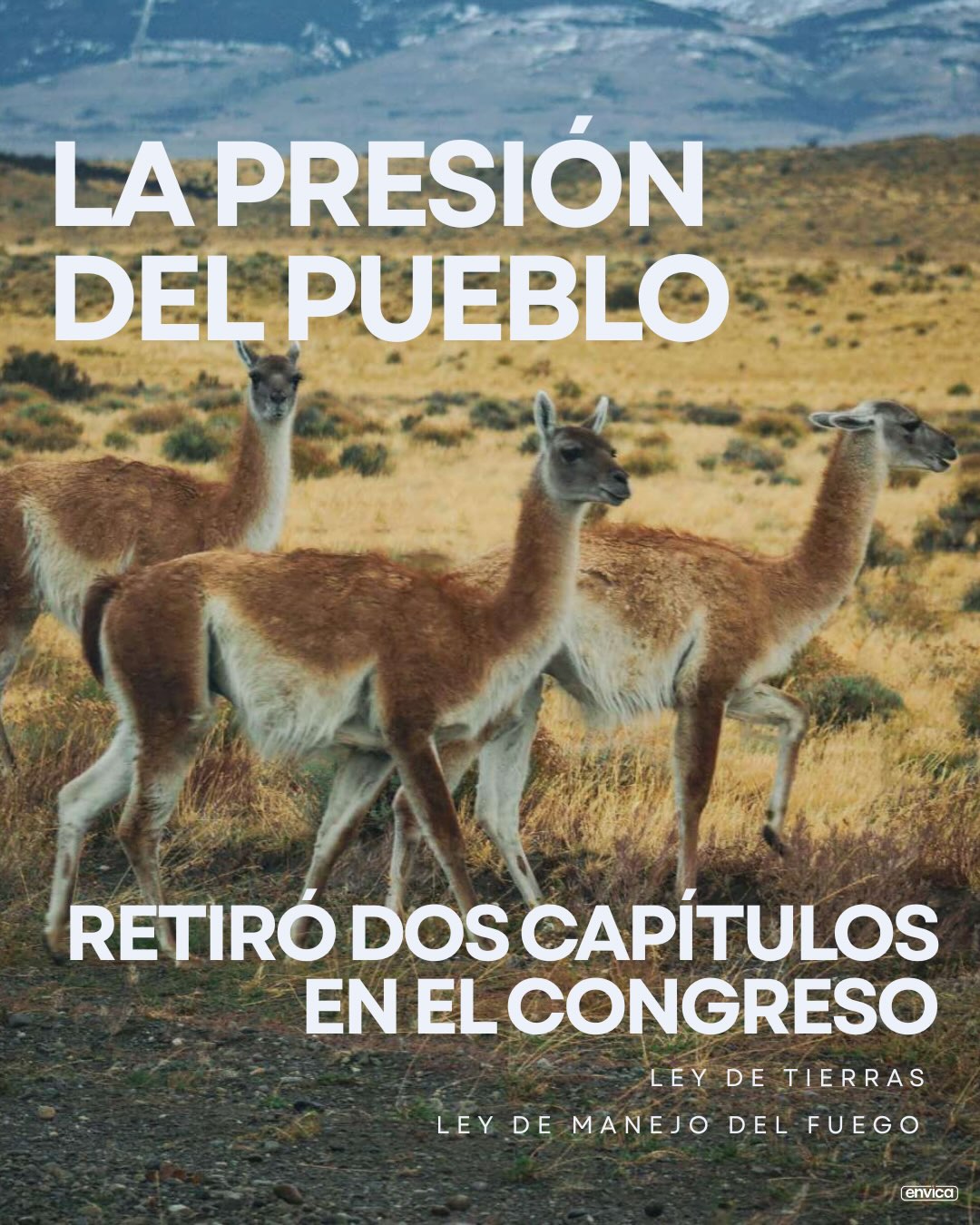 La presión de la población retiró dos capítulos del proyecto a debatir en el Congreso
-
#argentina #milei #congreso #tierras