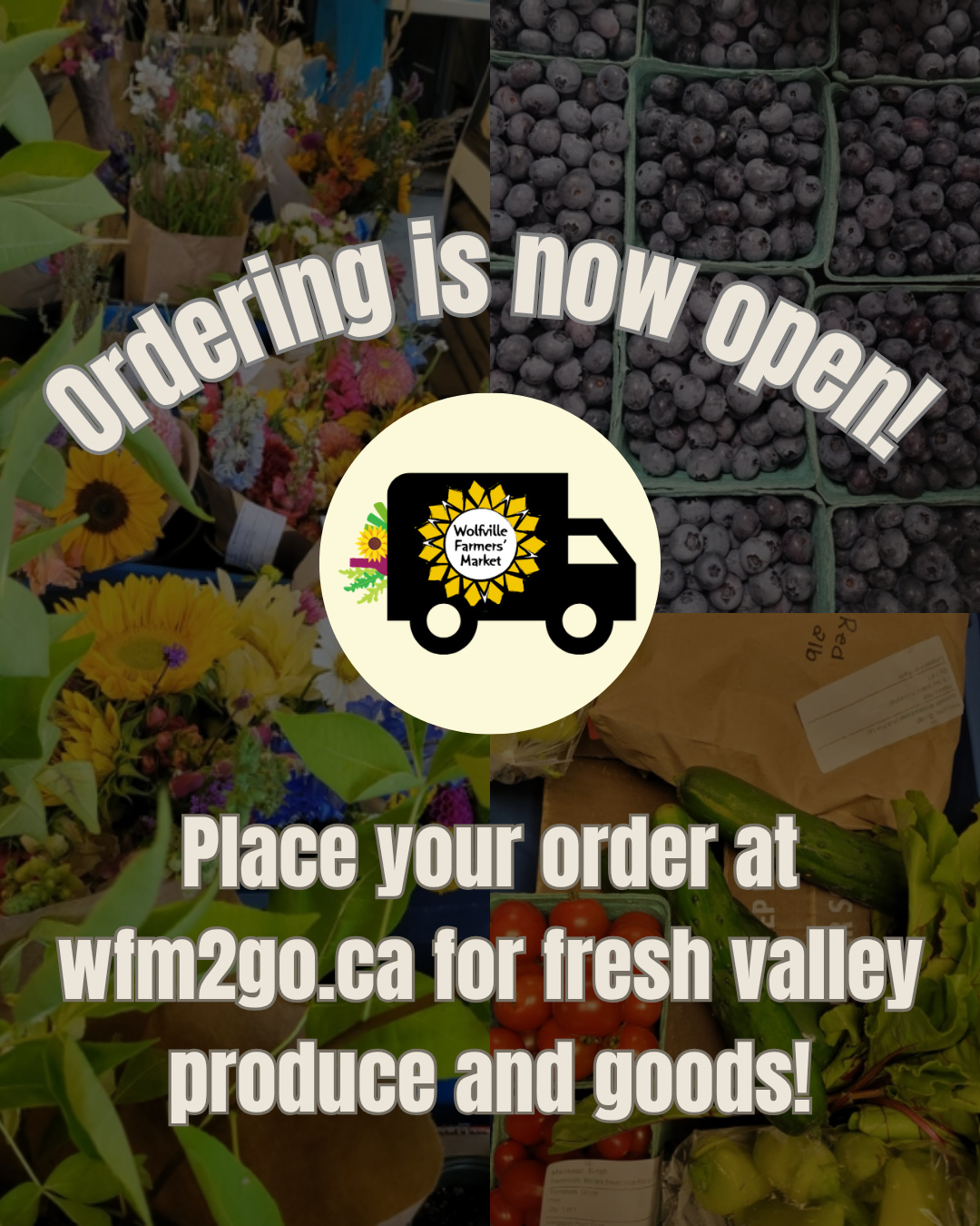 Ordering for next week is now open!! Build your dream grocery haul and confirm it by Monday at 7:00 pm!🌱☀️🌻🫶
Place your orders for the most delicious offerings of the Valley at wfm2go.ca and use code NSLOYAL10 for 10% off all orders!✨️
Highlighted and new products this week include:
🌱Shishito Peppers, White Onions, Banana Peppers, Celery, Green Peppers & Cherry Tomatoes from What on Earth Farms
🌱Grape Tomatoes, Iceberg Lettuce, River John Blue Potatoes, Red Potatoes & Cherry Tomatoes from Longspell Point Farm
🌱Red Butter Lettuce & Buttercrunch Lettuce from Medford Farms Ltd.
🌱8oz Sustainable Blue Salmon Portions from Afishionado Fishmongers
🌱Plums from Herbal Hill Farm
🌱Candied Jalapenos from Seven Acres Farm
🌱And much, much more!
#wolfvillefarmersmarket #wolfville #annapolisvalley #novascotia #farmersmarket #wfm2go #shoplocal #eatlocal #buylocal #supportlocal #freshproduce #community #letsdothis