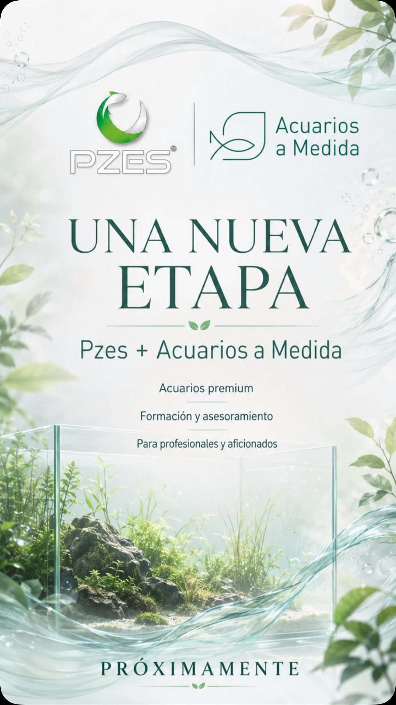 Nuevos proyectos, nuevas ilusiones.
Muy pronto novedades y nuevos objetivos 😉
#pzes #madrid #natureaquarium #aquascaping #plantedaquarium