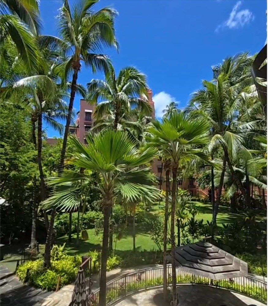 The beautiful gardens of @royal_hawaiian
#royalhawaiian #hawaii #honolulu #thehawaiiconnection