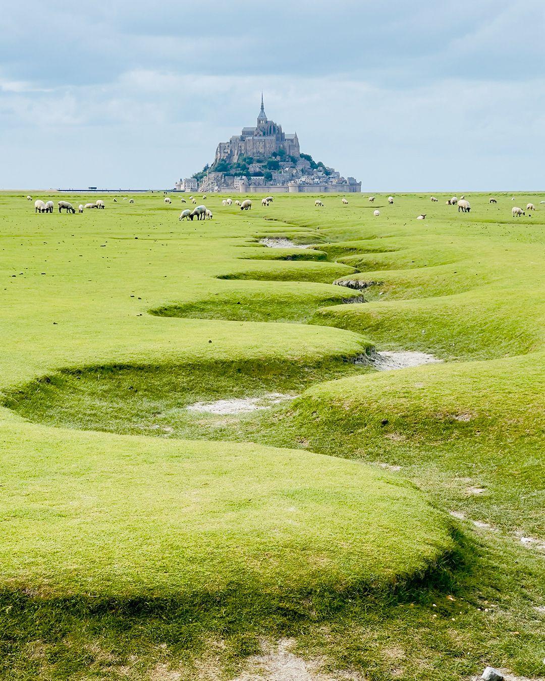 Some of the world's most remarkable places have one thing in common: they're recognized as UNESCO World Heritage Sites.
From the winding medina of Fez and the dramatic silhouette of Mont-Saint-Michel to the vineyards of Tuscany's Val d'Orcia, Barcelona's Sagrada Família, and the lantern-lined streets of Hoi An, these are places celebrated for their cultural, historical, or natural significance.
But visiting a UNESCO site is only part of the experience.
The difference often comes down to *how* you experience it. The right season, the right guide, thoughtful pacing, and staying nearby can completely transform a visit to some of the world's most iconic destinations.
Many of our favorite itineraries weave together several UNESCO World Heritage Sites, creating journeys that are as meaningful as they are memorable.
Which UNESCO World Heritage Site is at the top of your list? How many have you been to?
#AWorldWithinReach #SmartFlyer #VirtuosoLtd #UNESCO #WorldHeritage #LuxuryTravelAdvisor #CulturalTravel #HistoryTravel #EuropeTravel
