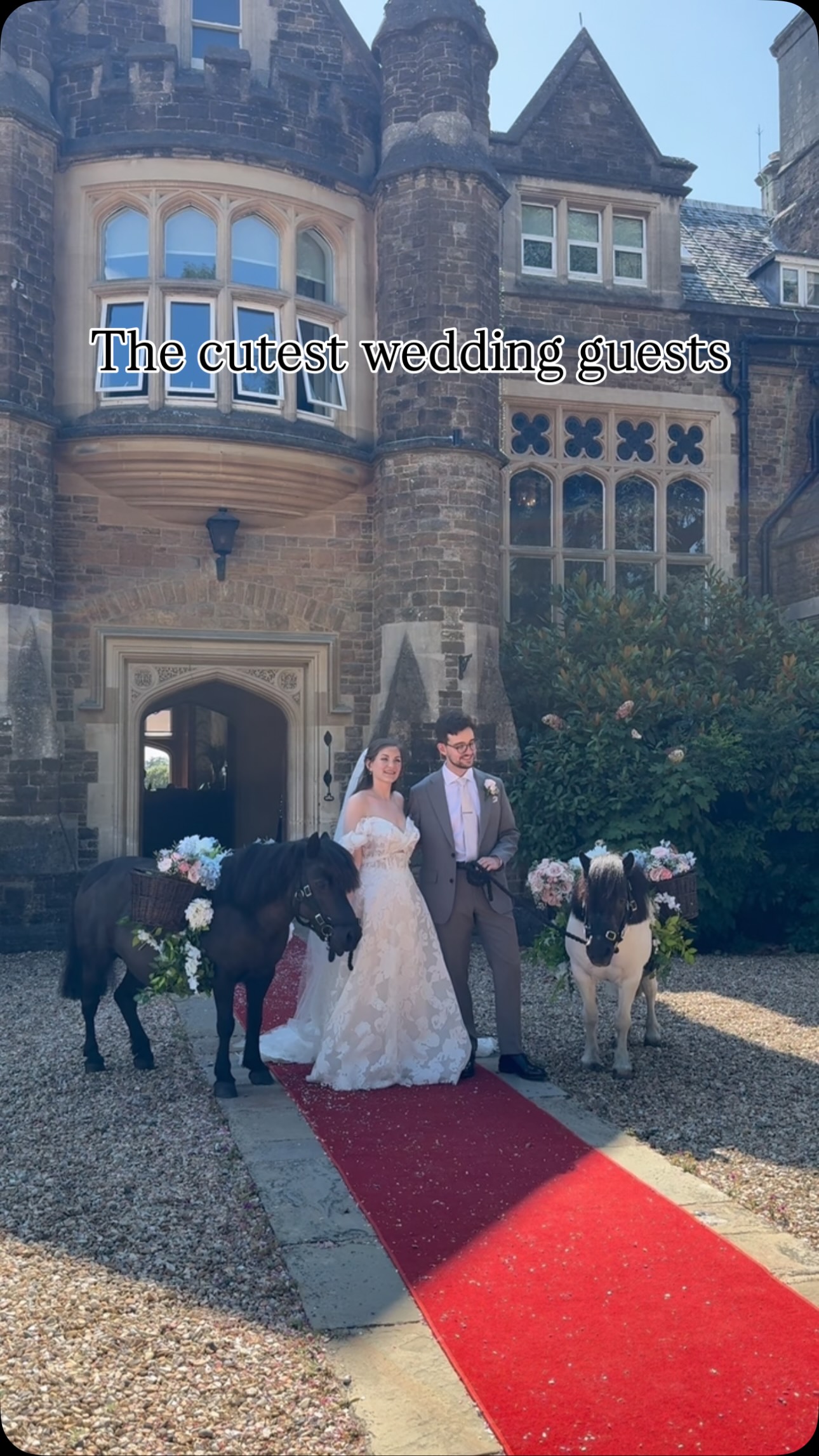 This is your sign to book the magic ponies at your wedding🐴