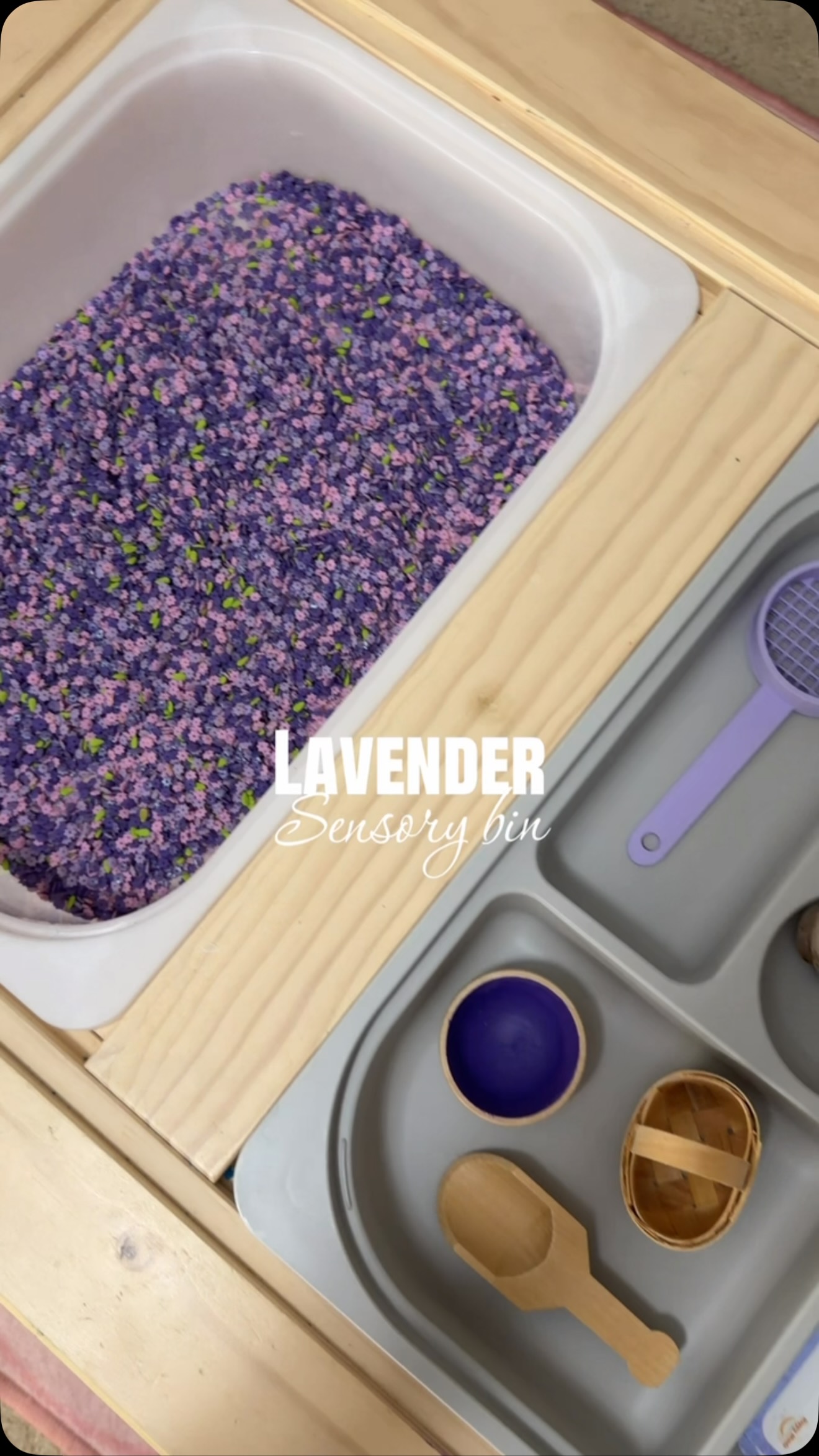 Have you ever seen a more aesthetically pleasing sensory bin?! 😄💜
@happyminds22 helping me keep things sane, organized & fun around here 😎🪻
#sensorybin #homeschool #homeschoolpreschool #preschoolactivities #homeschoolersoftiktok