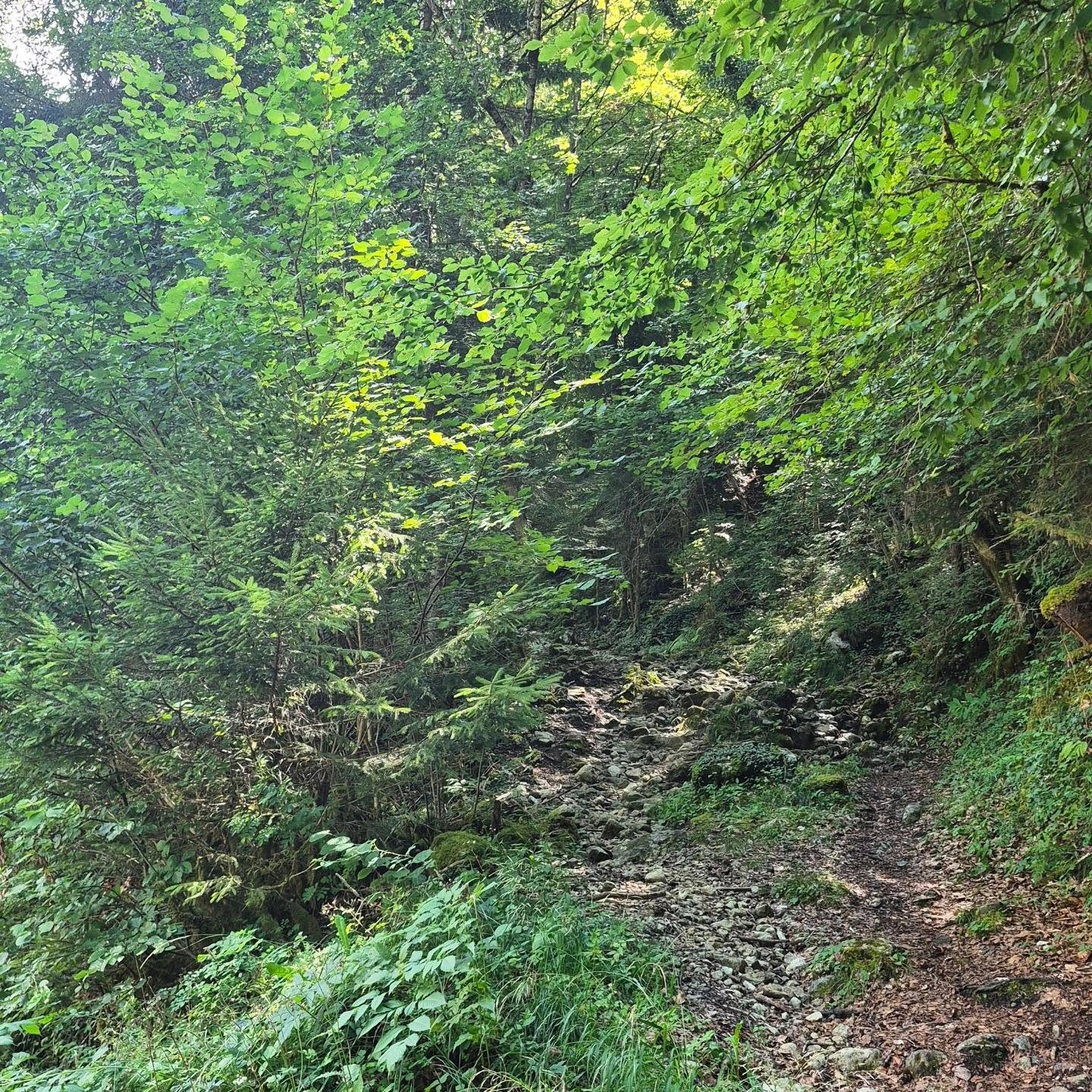 Une très belle rando à faire pour la diversité de ses paysages, les vues magnifiques sur le lac, la cascade d'Angon, mieux en vrai qu'en photo !
#randonnée #hiking #annecy #angon #cascade