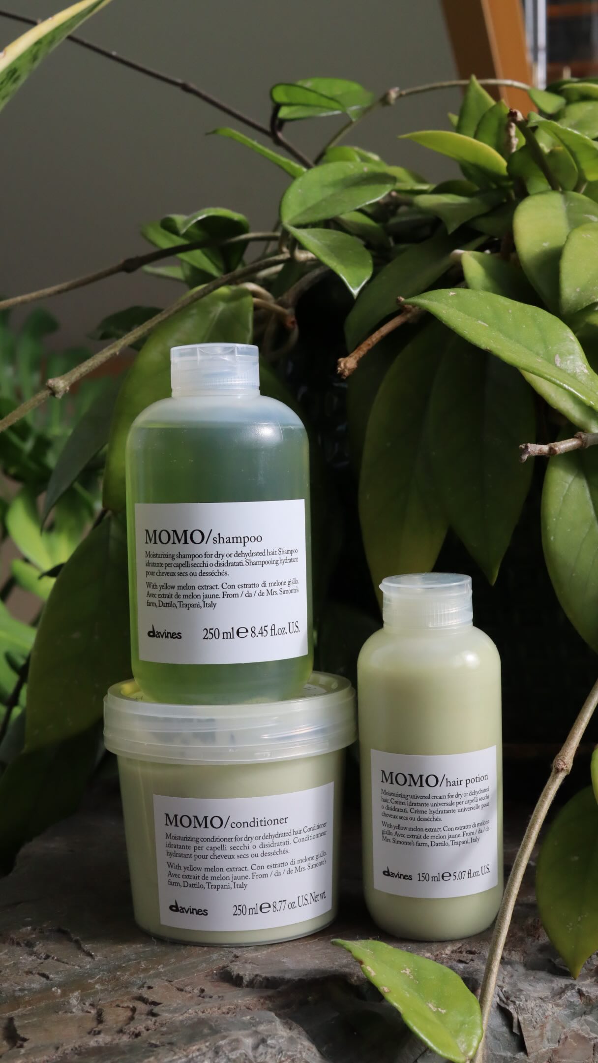 It’s a busy season ✨
Between back to school schedules, end of summer fun, and everything in between, our books are filling up fast! 💇♀️💅✨
Do yourself a favor and pre-book your next appointment before your favorite day and time disappear! We can’t wait to see you🤍
Booking available at nijoli.com or 978-682-9772