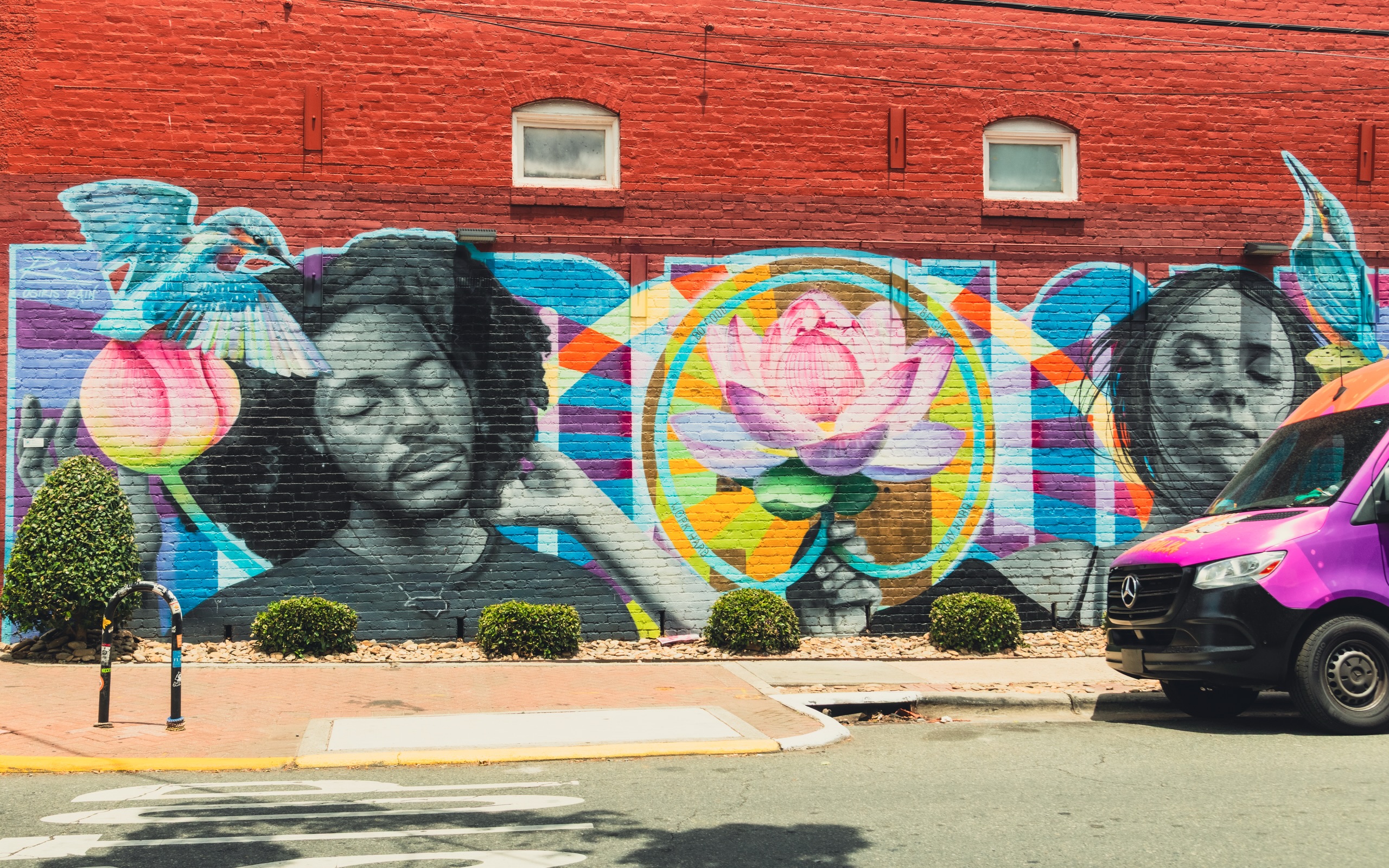 Friday vibes 🎥🎨
Art shows up in so many forms. On walls, through music, behind a camera, and sometimes in the random things you catch while you’re out living life.
We love getting outside, catching a vibe, and finding creativity wherever it shows up. Sometimes you just have to look around.
And most importantly…be cool, not cruel 😎
#360ArtsAndProduction #ArtEverywhere #HamptonRoadsCreatives #CreativeLife #FridayVibes