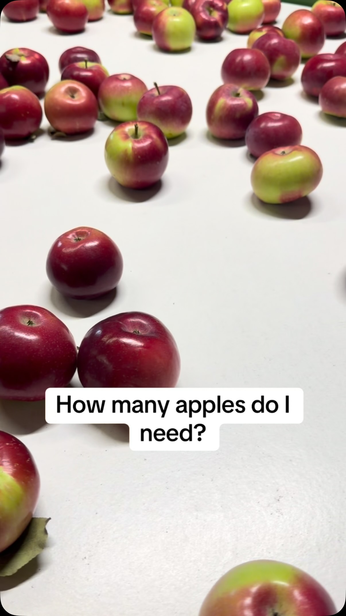 Apple season is starting in Wisconsin - specifically at my orchard - Lapacek’s Orchard in Poynette, WI. How many times have you headed in to buy apples but are confused on what you actually need? Save/repost this to check back when you need!
- 2lb apples = one 9-inch pie
- 1 bushel of apples = 18 qts applesauce
- 1 lb apples = 2 1/2 cups pared and sliced apples
- 1 lb apples = 3 cups diced apples
- 1/2 bushel of apples = 3lbs dried apples
1/4 peck approx 2.5lbs
1/2 peck approx 5lbs
1 peck approx 10lbs
1 bushel approx 40lbs