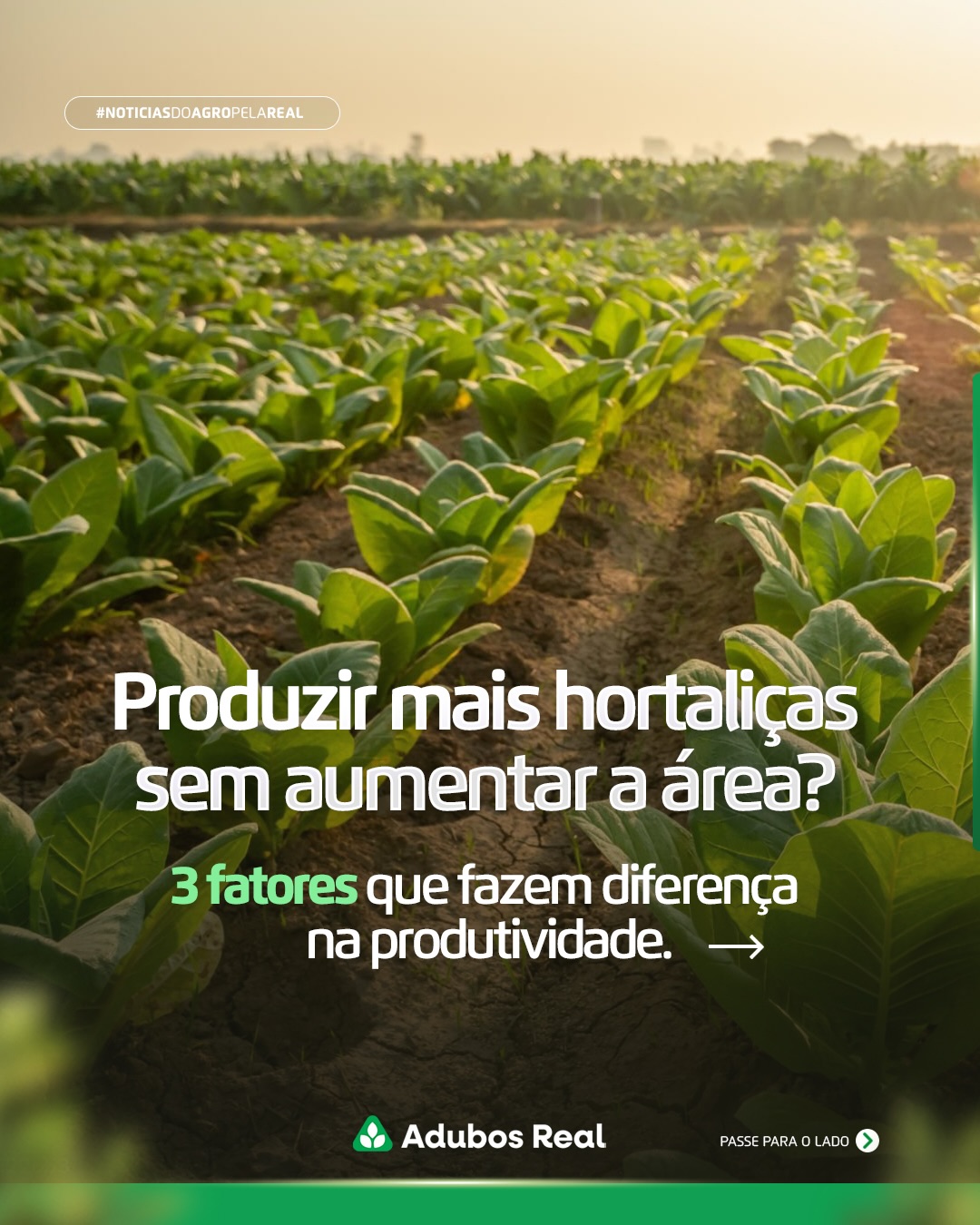 Produzir mais não significa, necessariamente, investir mais. 🌱
Uma lavoura produtiva começa com decisões bem planejadas: construção do solo, nutrição equilibrada e manejo para reduzir os impactos dos estresses ao longo do ciclo.
Reunimos três fatores que fazem diferença para quem busca maior eficiência na produção de hortaliças. 🥦🥬
👉 Quer se aprofundar no tema? Acesse o Notícias do Agro Pela Real pelo link da bio e leia o artigo completo.
#hortaliças #hf #estufa #hortifruti #adubosreal