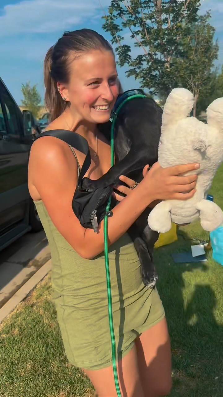 They arrived hopeful and left as happy as can be!🐾
We LOVE transport days! Welcome to Colorado, sweet pups. Forever awaits!
#milehighlabmission #transport #adoption #adoptdontshop
