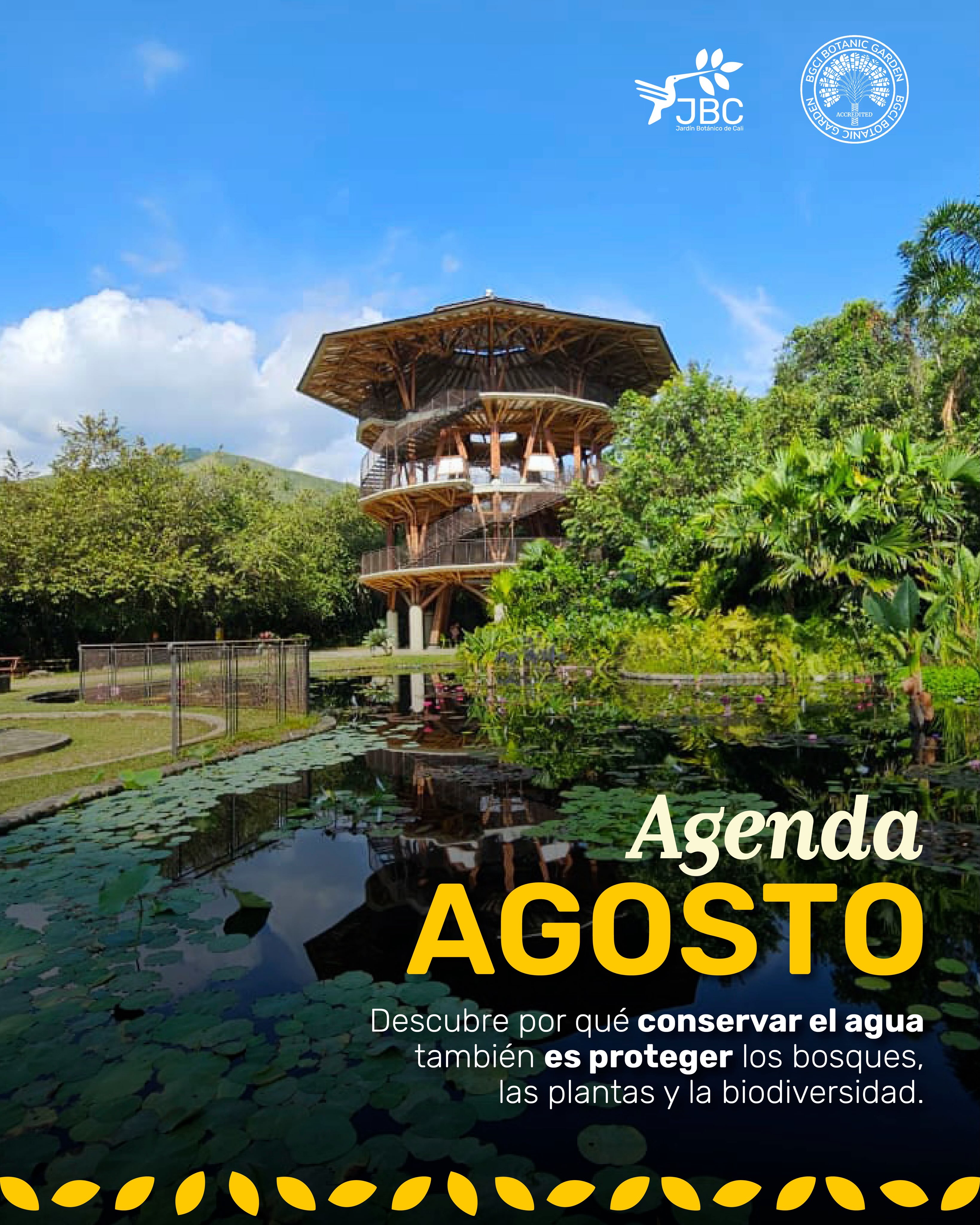 🌿 Agosto se vive entre naturaleza, aprendizaje y momentos para compartir.
Desliza y descubre todo lo que tenemos preparado este mes en el Jardín Botánico de Cali 🌱✨
Guarda este post, arma tu plan y ven a disfrutar de un espacio donde siempre hay algo nuevo por descubrir. 💚
📅 ¡Nos vemos en el Jardín!
