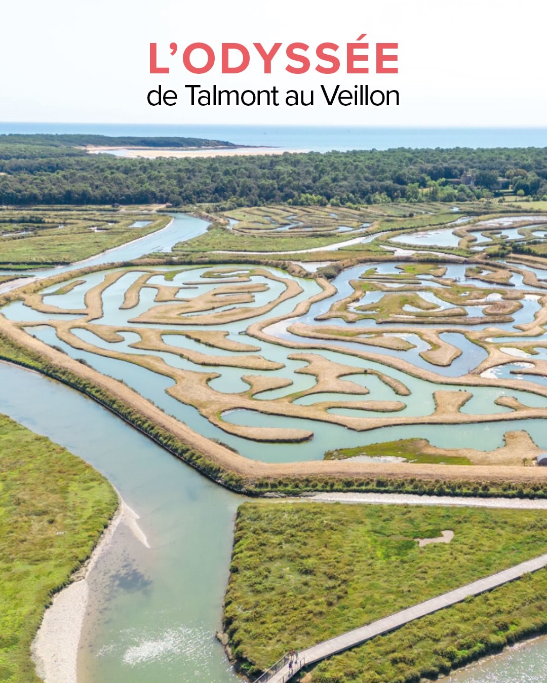 La dernière Odyssée de la saison c’est dimanche 16 août à 9h30 🛶
➡️ Réserve ta place sur https://www.paddleaventure.fr/