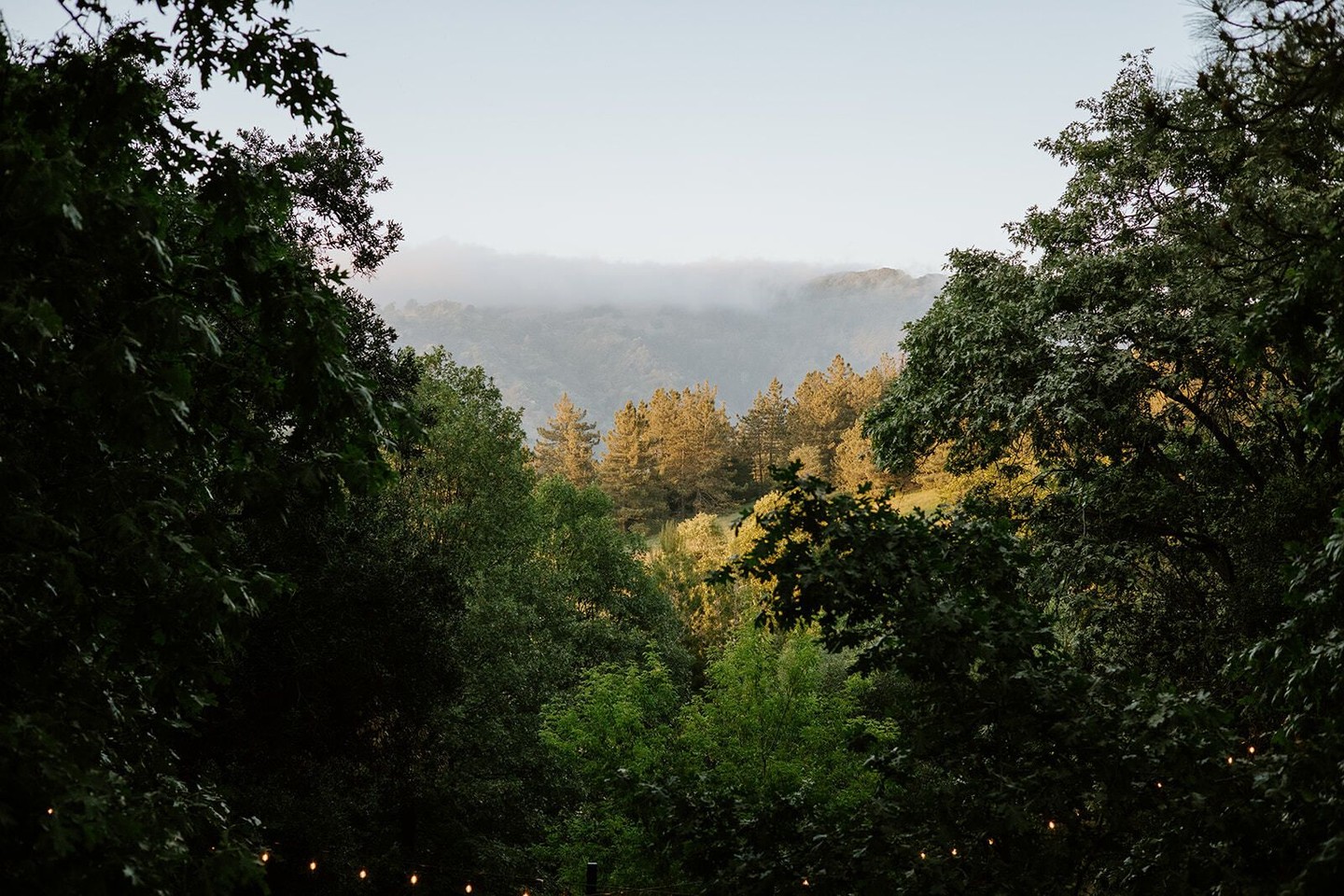 When was the last time your calendar included time to breathe? Start planning your getaway.
#Escape #MountainEscape