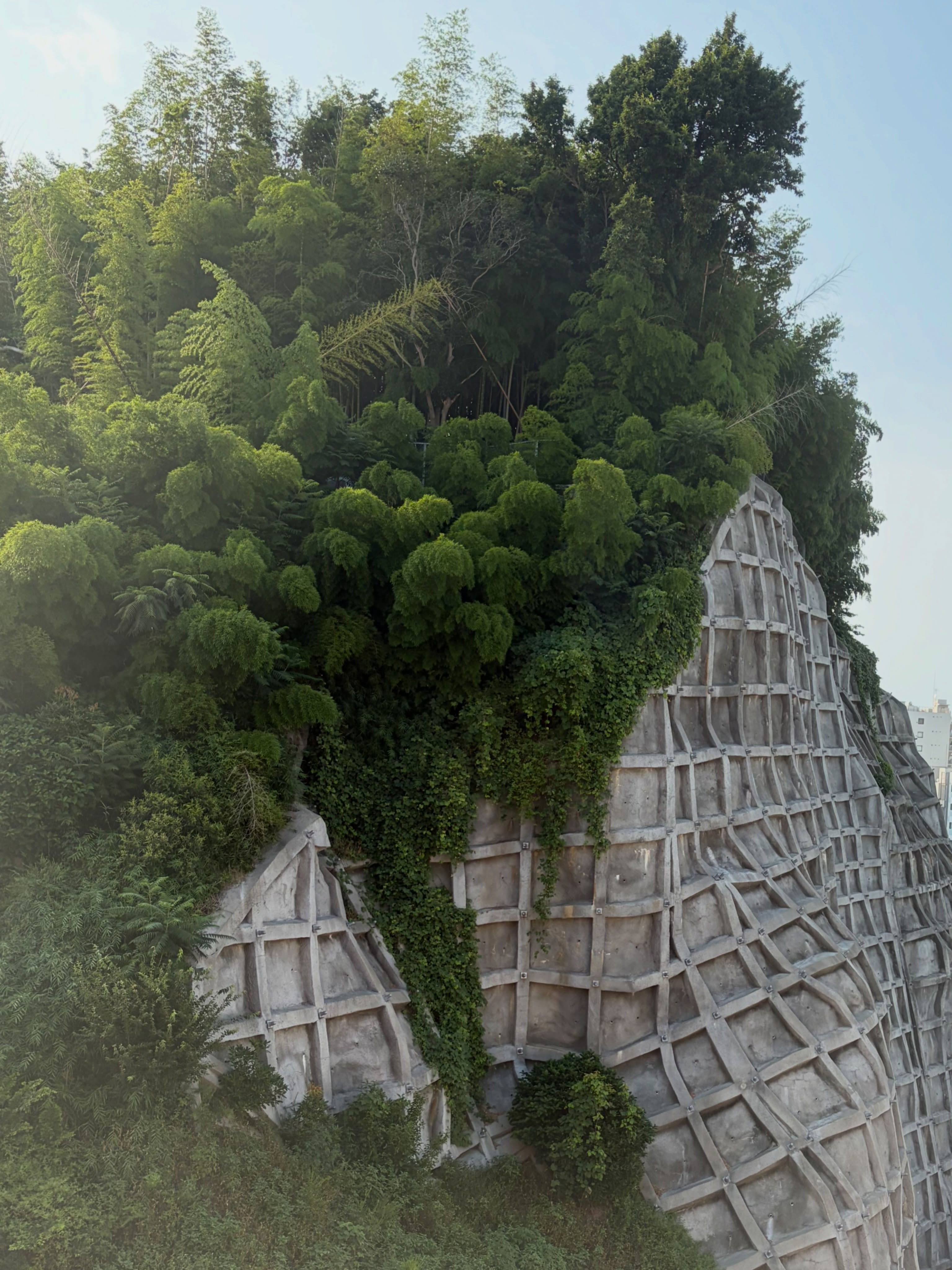 自然/人工の際。自然&人工かもしれない。
とある街のとあるホテルからの眺め。
A border of nature & artificial work. I am also be able to say it's nature & artificial.
A view from one hotel in one town.
#建築好きと繋がりたい
#デザイン好きと繋がりたい
#自然が好き
#自然と人工
#法面