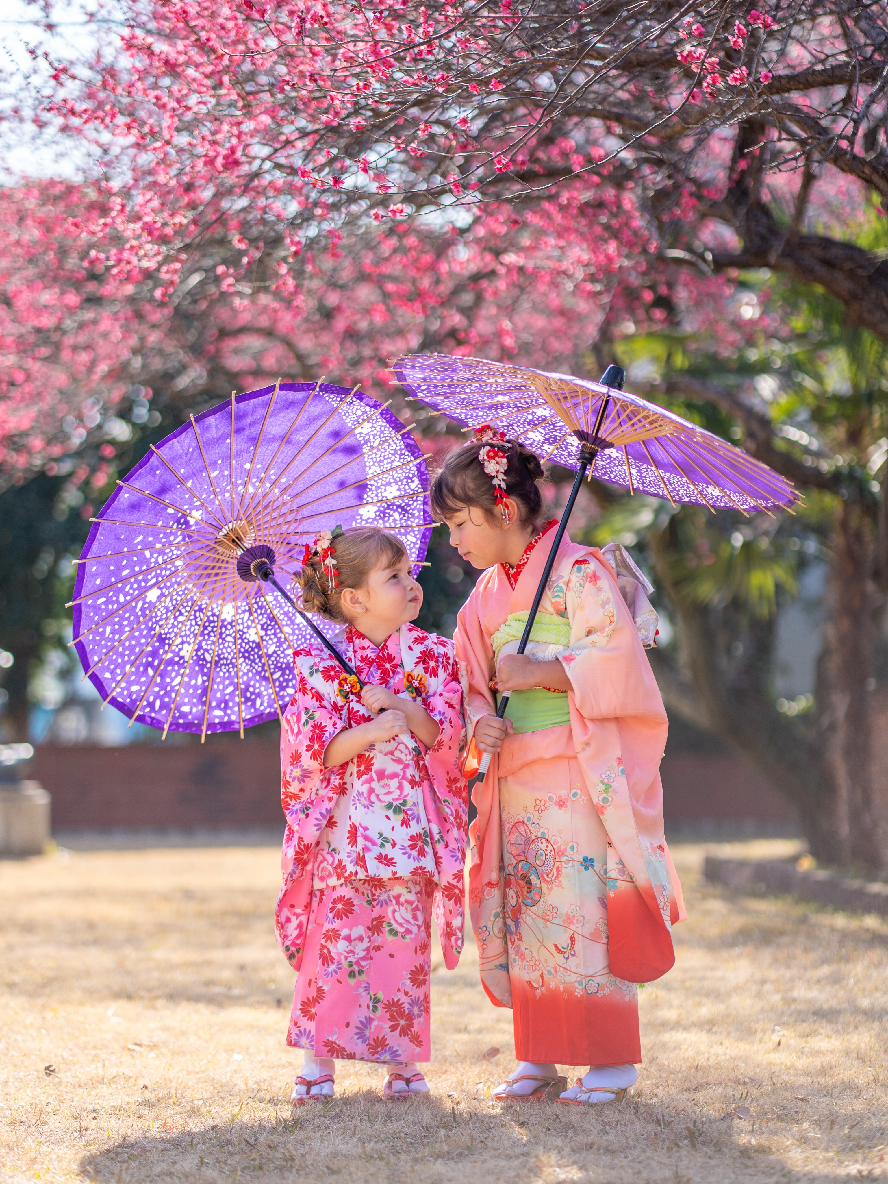 We had the sweetest sisters and their kind, loving mom and dad come for a photo shoot!
The cute girls were a little nervous at first, but by the end, we had become such good friends that they were even running around in kimonos! 😄
It was such a fun and wonderful photo session!
Thank you for coming!💕
仲良し姉妹と優しいパパとママがいらっしゃいました
撮影に緊張していたけれど、最後は着物を着て走り出すくらい仲良くなれました!
楽しい撮影でした✨
またいらしてくださいね
#kanagawa #kimono #kimonoexperience #神奈川 #着物