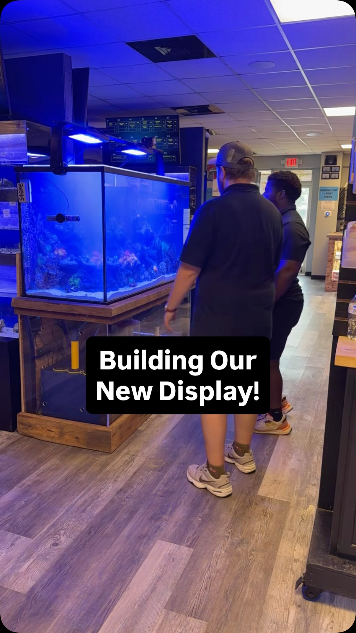 From empty tank to full reef display. 🪸
Here’s a look behind the scenes at our team building our newest display from the ground up. Come see the finished tank in person!
📍 3816 Sardis Church Rd, Suite 107, Monroe, NC 28110
📞 980-328-0000
🌐 undertheseanc.com/retail-store
🕙 Tue–Sat 10–6 | Sun 12–5 | Closed Mon #reeftank #aquariumhobby #fishtank #reefaquarium #charlottenc