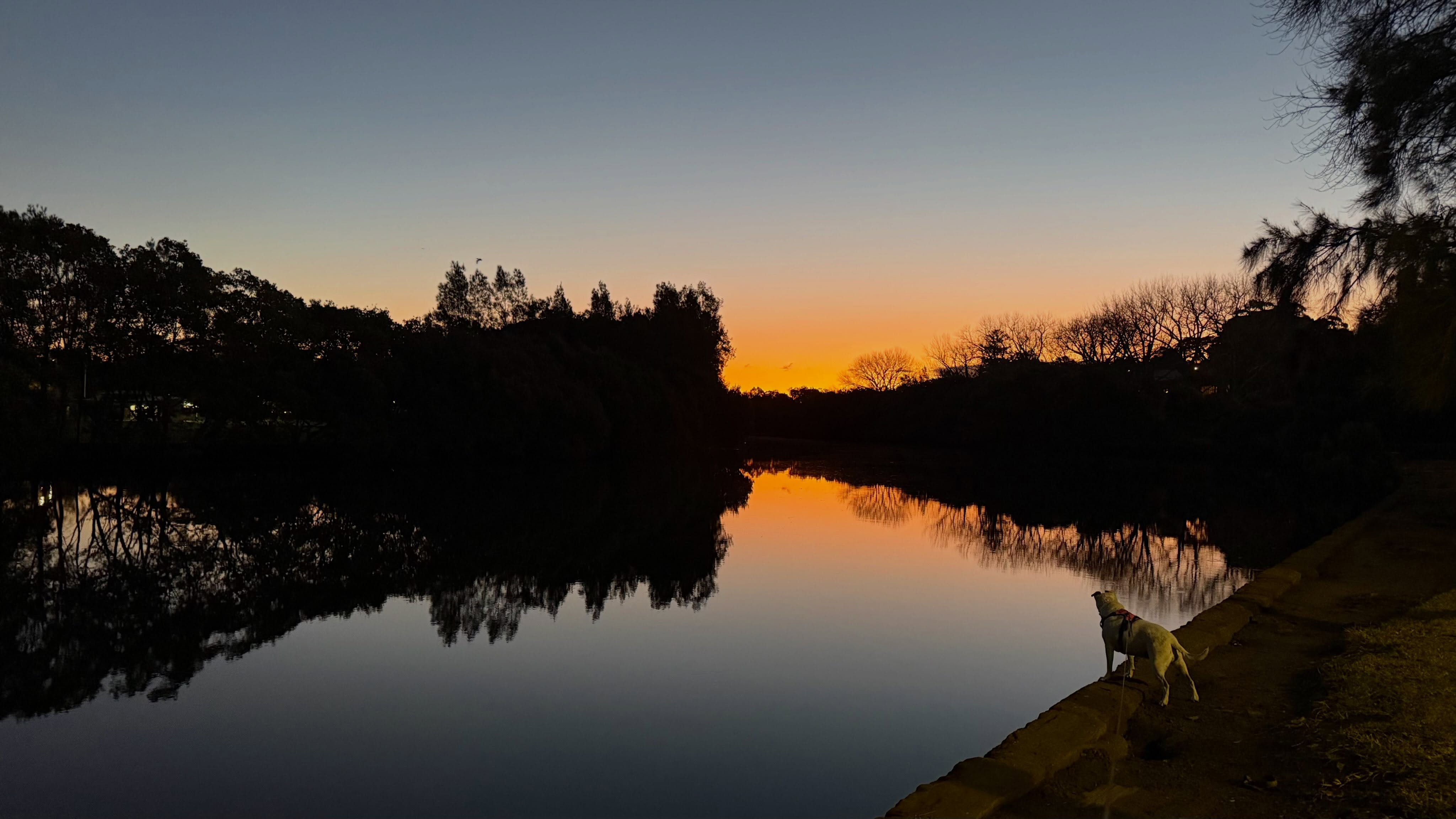 What a beautiful evening it was tonight. Ms. Rosie and I dawdled at the curve in the river, where the water was ridiculously still and the sun almost gone but still glowing orange in the sky. The reflections were stunning and the air carried just a smidge of warmth… it might be too early to call but it felt like spring was saying gidday. #wintersend #chillybutlovely #notabreathofwind