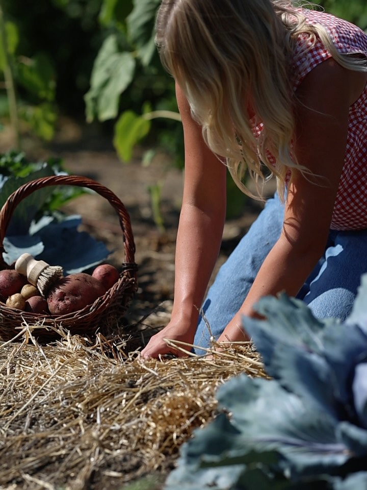 Looking for a sustainable veggie scrubber?
The scouring brush is perfect for scrubbing hearty veggies like potatoes, carrots and more!
#sustainablekitchen
#scouringbrush
#searlsoapcompany
📷 @dorotasocial
