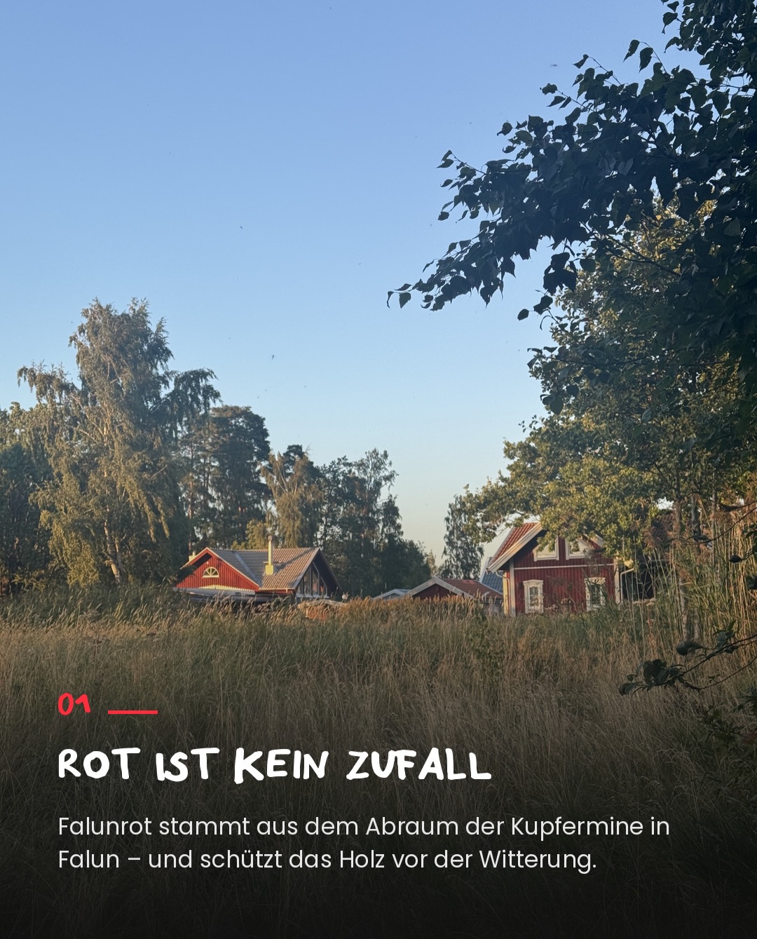Schweden ist schon ein einzigartiges Land. Drei Wochen durften wir es mit unserer „Freeda“ 🚐, der Mobilen Bucketlist Schmiede - inhalieren.
Zehn Learnings sind uns dabei besonders ins Auge gestochen - meist nebenbei oder auf den zweiten Blick. Jedenfalls hatten wir mit denen so nicht gerechnet.
01 Rot ist kein Zufall. Falunrot stammt aus dem Abraum der Kupfermine in Falun. Es hat einen eigenen Namen, weil es das Holz vor der Witterung schützt.
02 Aber nicht überall. Im dafür Smögen stehen die berühmten Bootshäuser in Rot, Gelb, Blau und Grün. Schweden ist bunter, als es das Klischee erlaubt.
03 Alle Postkästen an einem Platz. Nicht bei jedem Haus, sondern gesammelt an der Straße. Wer Post will, geht ein paar Schritte - und spricht mit den anderen.
04 Elche stehen nicht an jeder Ecke. Den auf Bild 4 haben wir im Park getroffen. In freier Wildbahn - trotz offener Augen leider nicht.
05 Die Natur gehört allen. Das Jedermannsrecht macht das Land zugänglich. Für Wohnmobile gilt es streng genommen nicht – wer den richtigen Weg einschlägt, findet trotzdem Plätze, die man nicht mehr vergisst.
06 Wohnmobile, überall. Unsere Freeda neben einem umgebauten alten Reisebus. Viele Schweden bereisen ihr eigenes Land in großen Mobilen – ein paar Deutsche waren auch dabei. ;-)
07 Die Zuckerstangen vom Kirtag kommen aus Schweden. Sie heißen Polkagris. Süßigkeiten zum Einsackeln gibt es in fast jedem Geschäft.
08 Weniger Alkohol. Bier im Supermarkt selten über 3,5 %. Wein kaum – und wenn, dann teuer. Alkohol kostet hier so viel, dass er im Alltag kaum vorkommt.
09 Astrid Lindgren ist hier eine Ikone bzw. Krone. Wortwörtlich – sie ziert den 20-Kronen-Schein. Und ihr Michel aus Lönneberga heißt im Original Emil. Umbenannt wurde er nur für uns.
10 Fika ist keine Pause. Kaffee und Zimtschnecke als Ritual. Meine Traumfrau, sagt, die hier waren die besten. Ich mag ja keinen Zimt.
Und weil zehn nie reichen: Löppis an jeder zweiten Straße, ein Land, das sauber ist, weil sich die Leute kümmern – und 20 Verkehrstote pro Million Einwohner. Bei uns sind es 43.
Was überrascht dich am meisten?
#schweden #wohnmobil #learnings #bucketlistschmied #WorkLieRomance