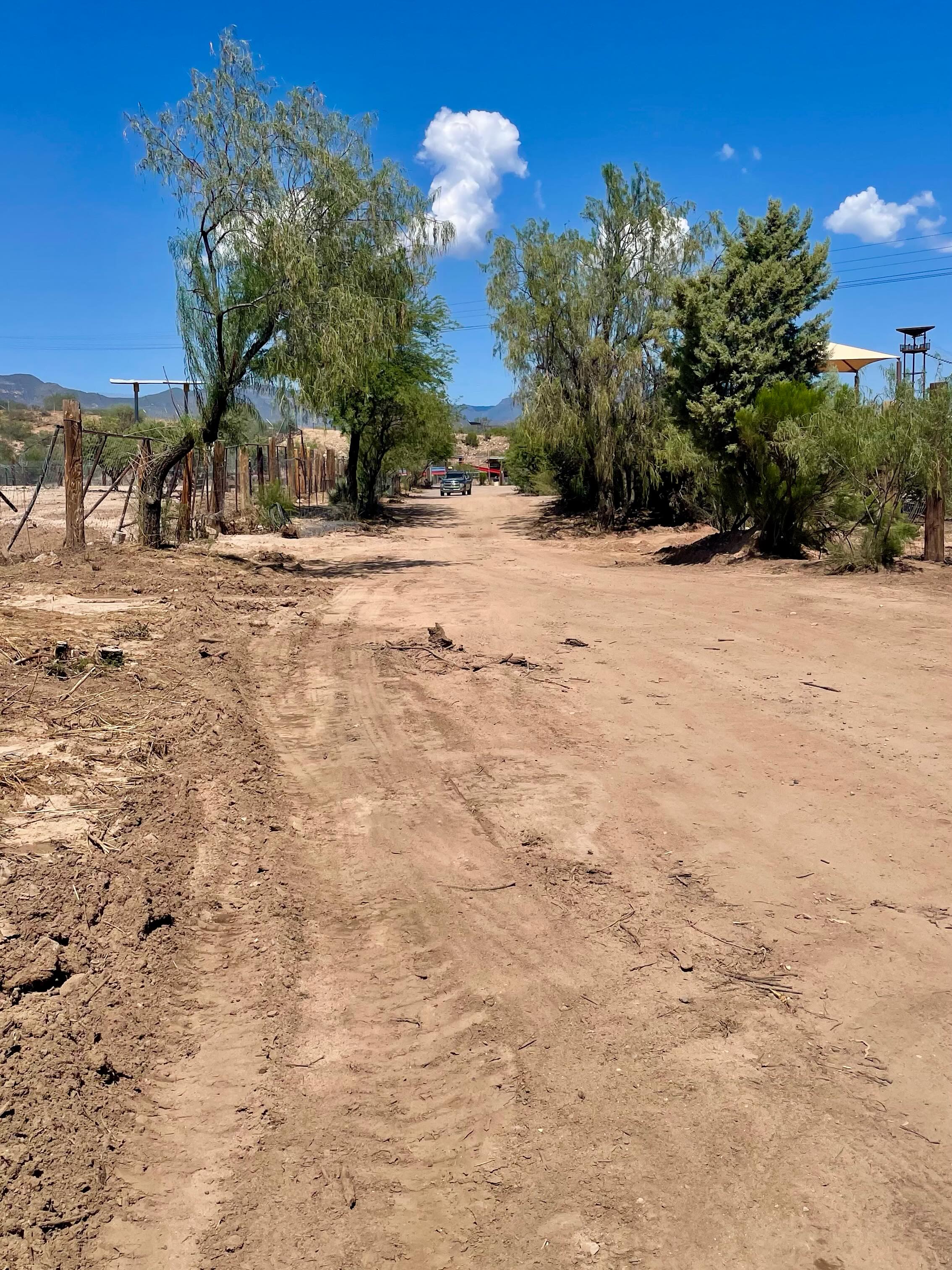 With the recent flooding at the park, we’ve had to make many adjustments while doing our best to accommodate everyone. There is so much happening and so much to do—our heads are spinning!
Although we haven’t had the chance to properly say it, please know we haven’t forgotten you. From the bottom of our hearts, thank you to everyone who generously donated money or supplies, and to those who trudged through the mud and muck to help.
This is far from over, and we still have a lot of work ahead of us—but we’ll get there together. Please be patient with our family as we navigate the days ahead. We are incredibly grateful for your kindness, support, and understanding. ❤️ https://outofafricapark.com/recovery/
#outofafricawildlifepark #outofafricawildlifeparkandsanctuary #recovery #cleanup #thankyou