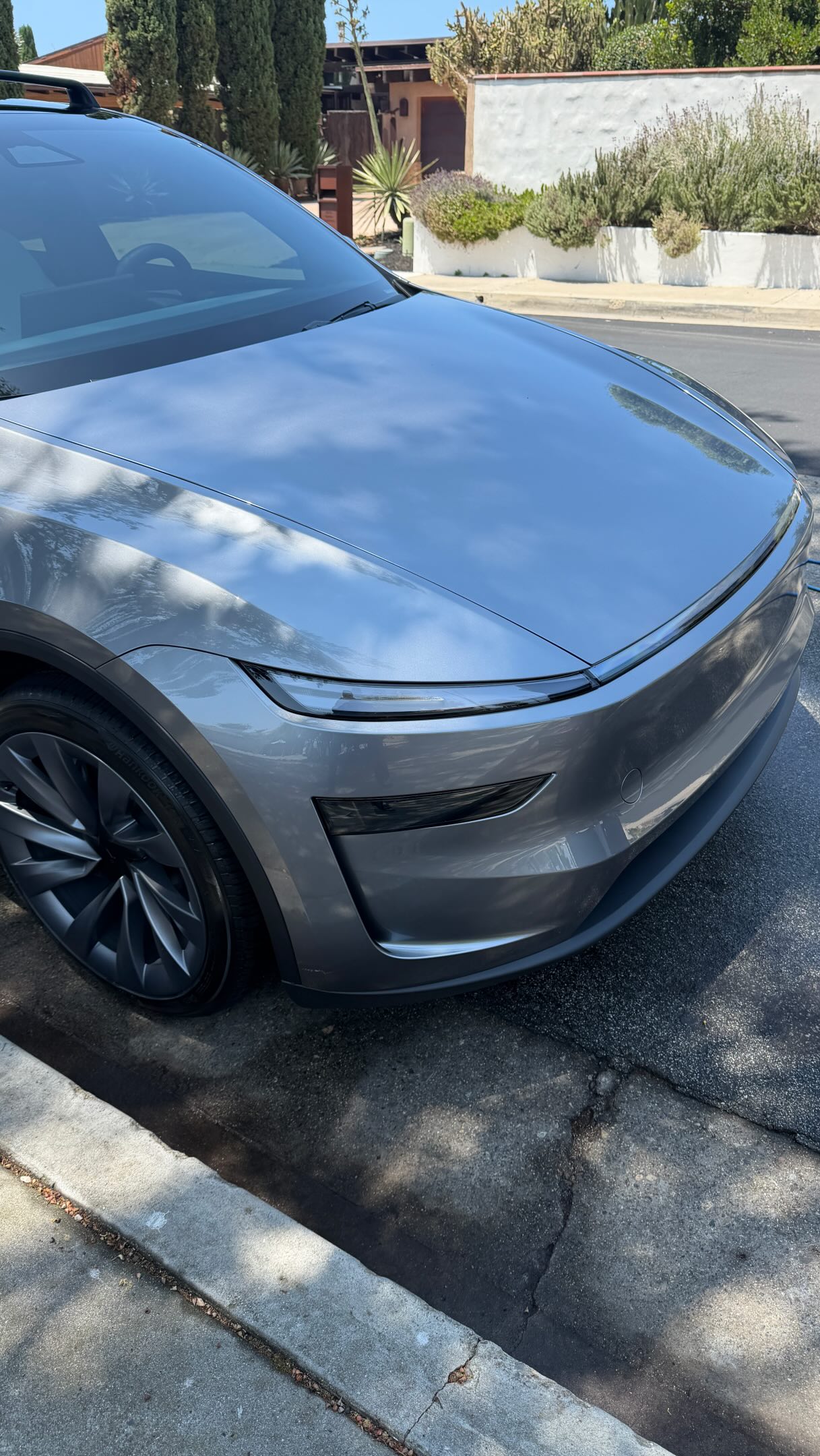 Tesla 🫧