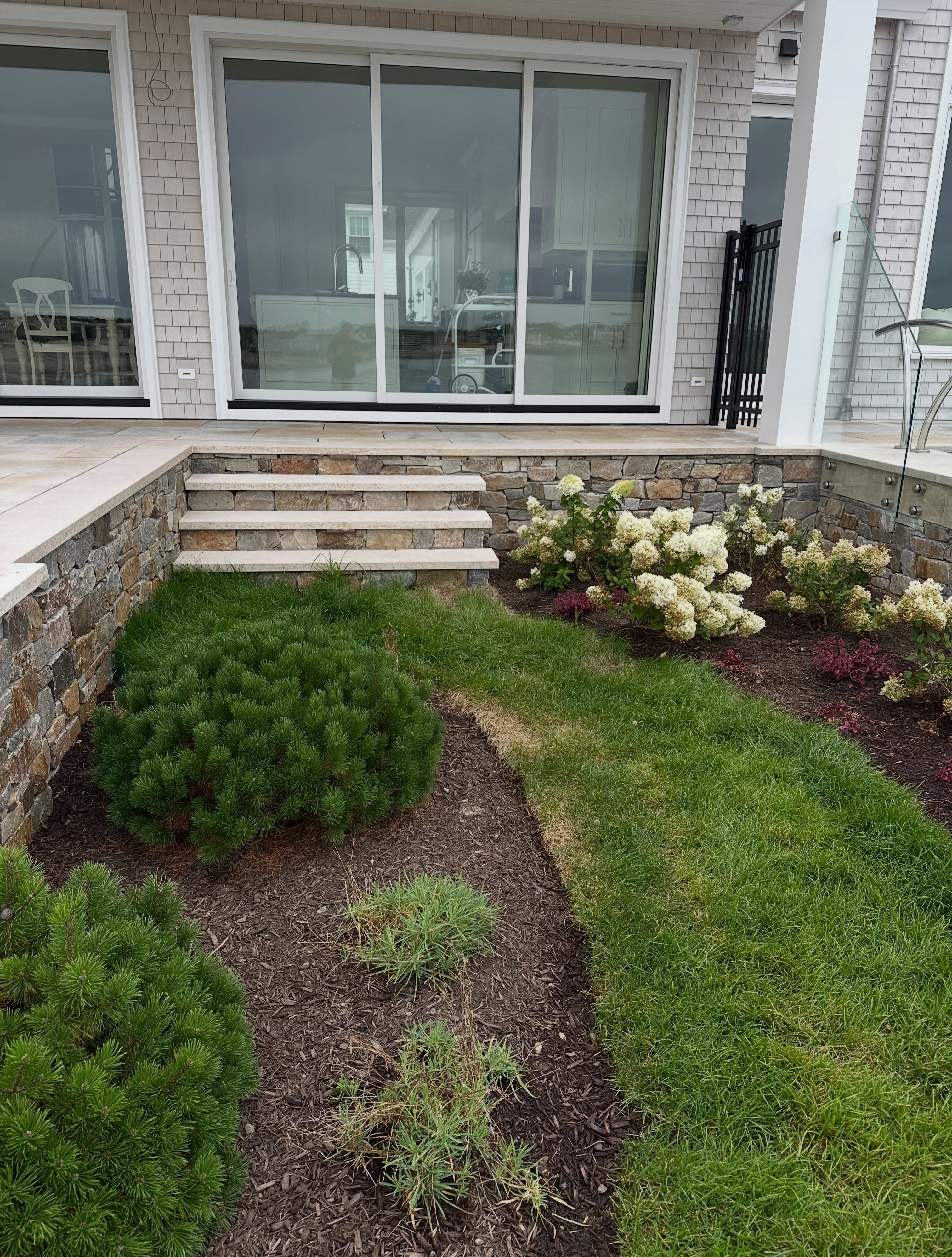 #backyarddreams