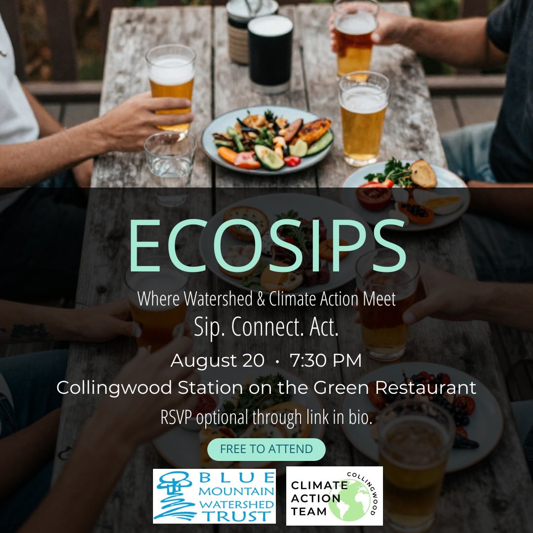 Looking for a fun way to connect with your community? Join the Blue Mountain Watershed Trust and Collingwood Climate Action Team for EcoSips on August 20 at 7:30 PM at Collingwood Station on the Green! Enjoy patio hangs, meet like-minded community members, learn about upcoming local events and initiatives, and put your knowledge to the test with trivia and prizes. Free to attend and RSVP is optional, just come ready to sip, connect and have some fun!
@watershedtrust
August 20 • 7:30 PM • Collingwood Station on the Green
RSVP through the link in bio.
#collingwoodevents #ecosips #collingswood
