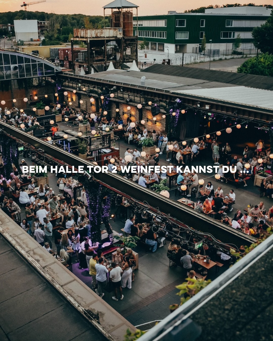 Wir freuen uns auf das nächste WEINFEST mit Euch im September!🍷🌿✨
Freitag, 25.09.2026 ab 17:00 Uhr - open end
Samstag, 26.09.2026 ab 17:00 Uhr - open end
Das erwartet dich:
🍇Vielfältige Weinstände
🍴leckeres Streetfood - passend zum Wein
🎤musikalische Live-Acts & DJs
Get your Ticket now!🎫
#DIEHALLETor2 #WEINFEST