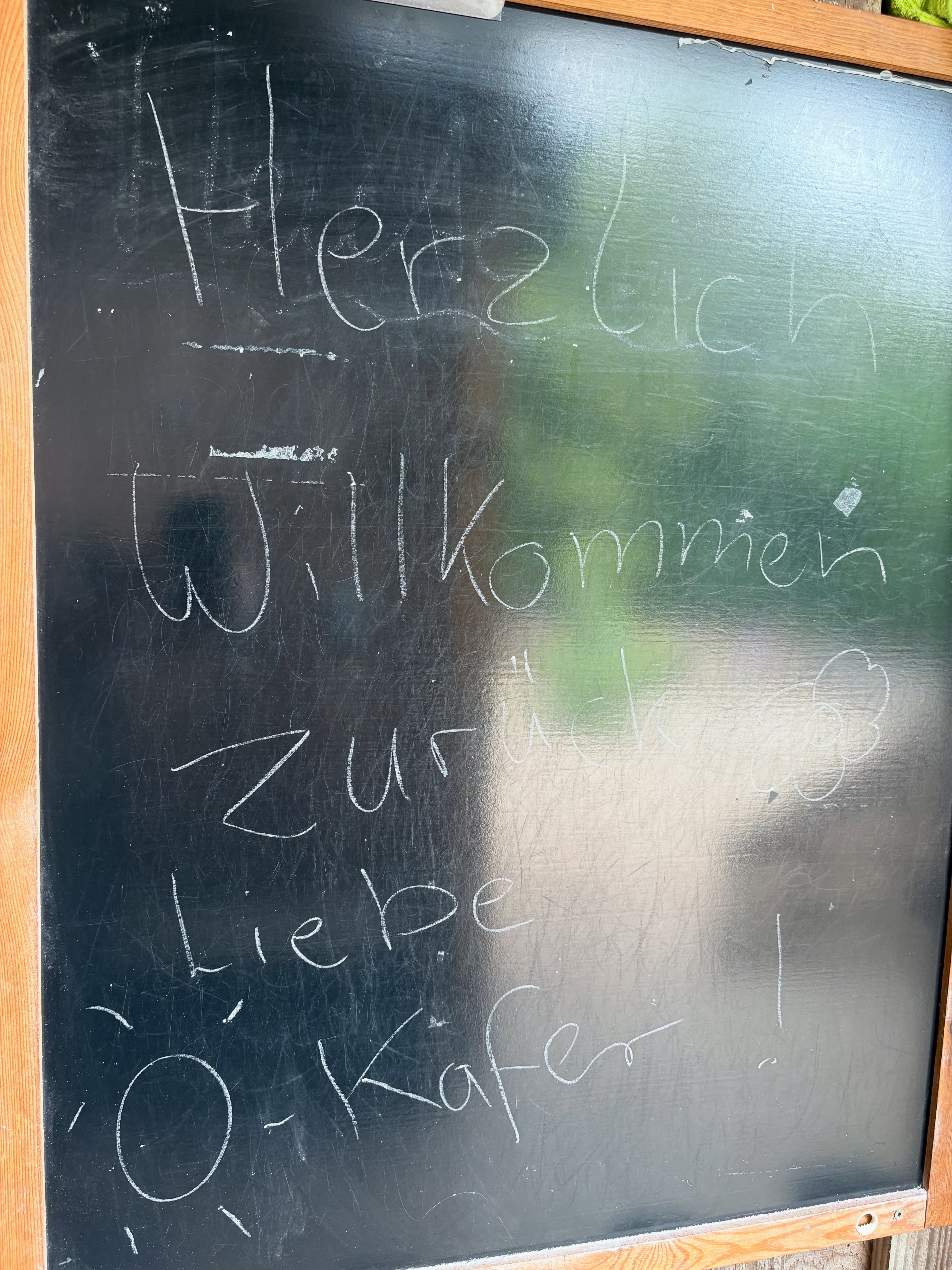 Wir sind zurück aus unserer Sommerpause und dürfen unsere großen sowie neuen kleinen Käfer der Käferbande zurück bei uns in der Kita begrüßen. Wir freuen uns auf euch 🍀 #wald #waldkindergarten