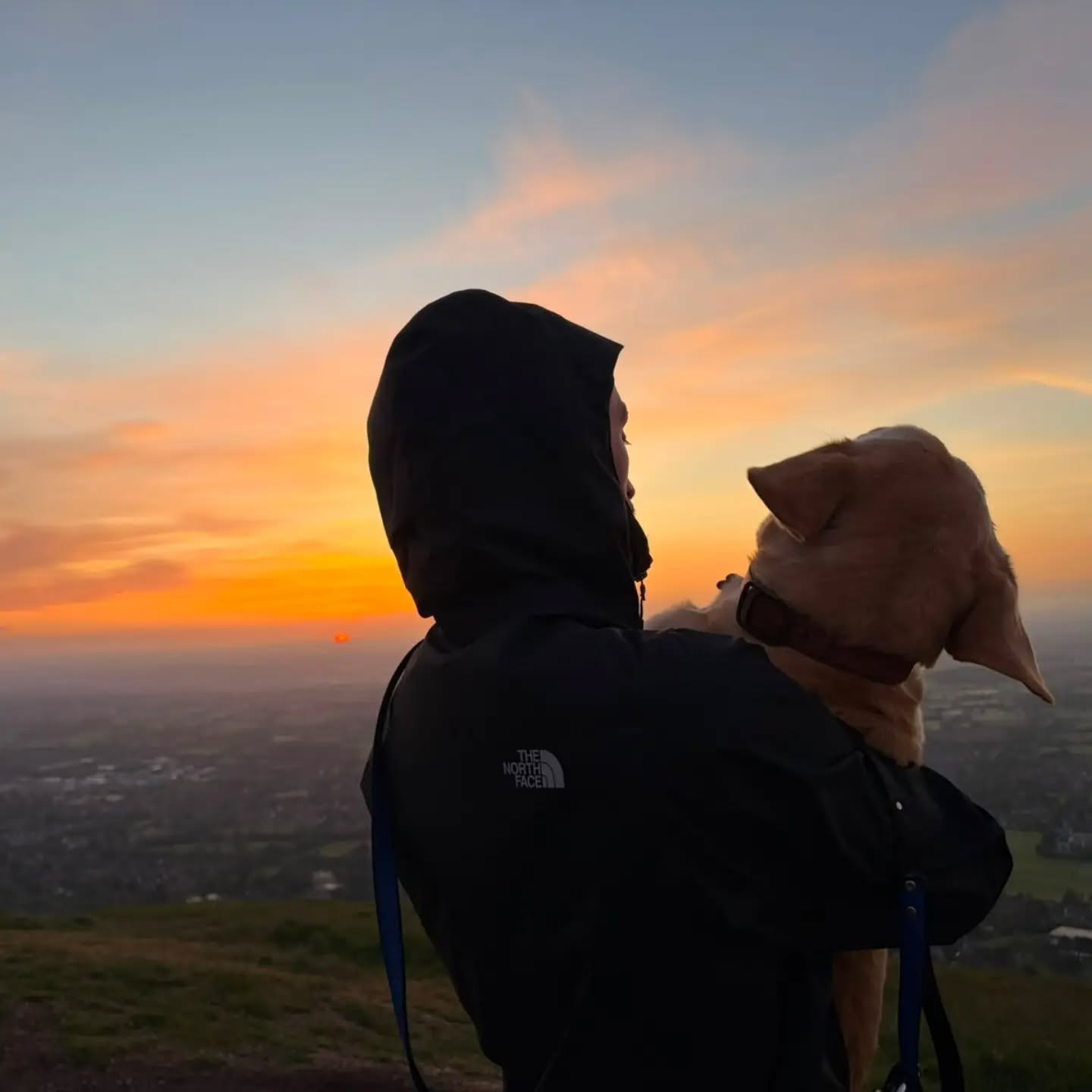 27 years ago today I became a mum
I gave birth to this dog loving nut job.
The day my passion for midwifery started.
The birth was an absolute shit show, but seeing his face just made me want to do it all again (PROPERLY) and I went down a rabbit hole of birth from that day on. What a journey it has been.
Forever greatful for my liittle/big boy.
A true protector
A male me (sadly for him)
27 years of pure energy and "Whats Next:
Love you a Million cone headš
@evancotterrall