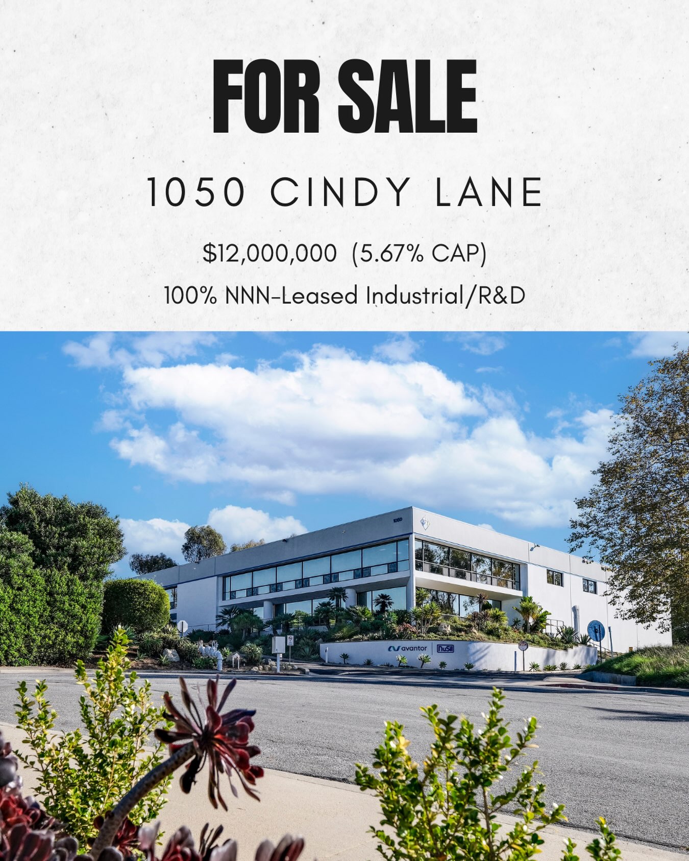 1050 Cindy Ln, Carpinteria – Industrial R&D for Sale!
44,992 SF industrial/R&D building at the top of the Carpinteria Business Park, 100% NNN-leased to NuSil Technology (a subsidiary of Avantor, NYSE: AVTR) through 2033.
The property has served as NuSil’s local headquarters and main R&D facility since 1994, with heavy power, high ceilings, and significant improvements throughout.
Offered at $12,000,000 (5.67% cap rate).
#CarpinteriaCommercialRealEstate #SantaBarbaraCRE #IndustrialRealEstate #NNNInvestment #HayesCommercial